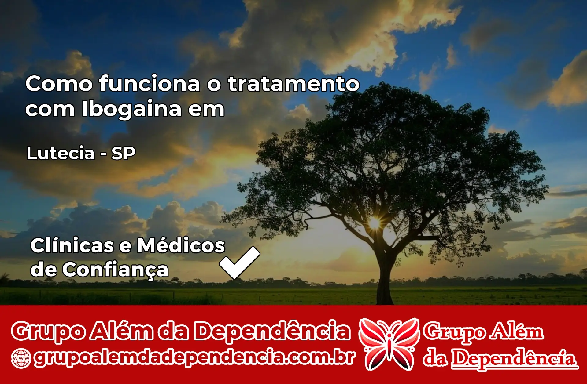Como Funciona Ibogaína em Lutécia – SP