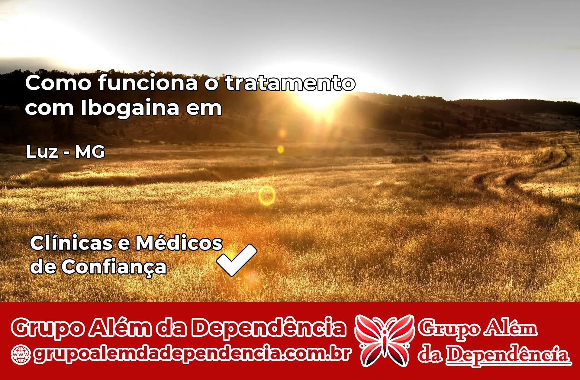 Como Funciona Ibogaína em Luz – MG