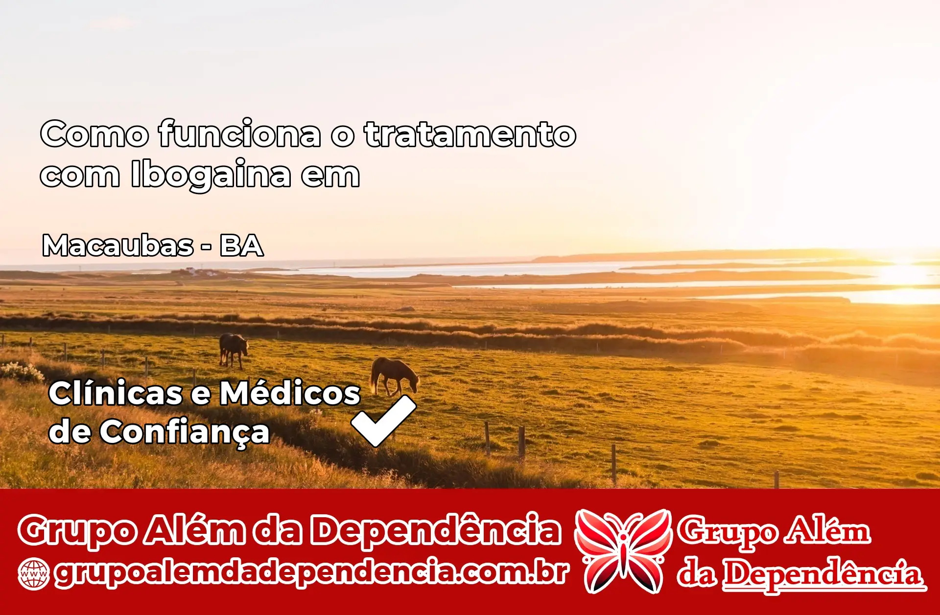 Como Funciona Ibogaína em Macaúbas – BA