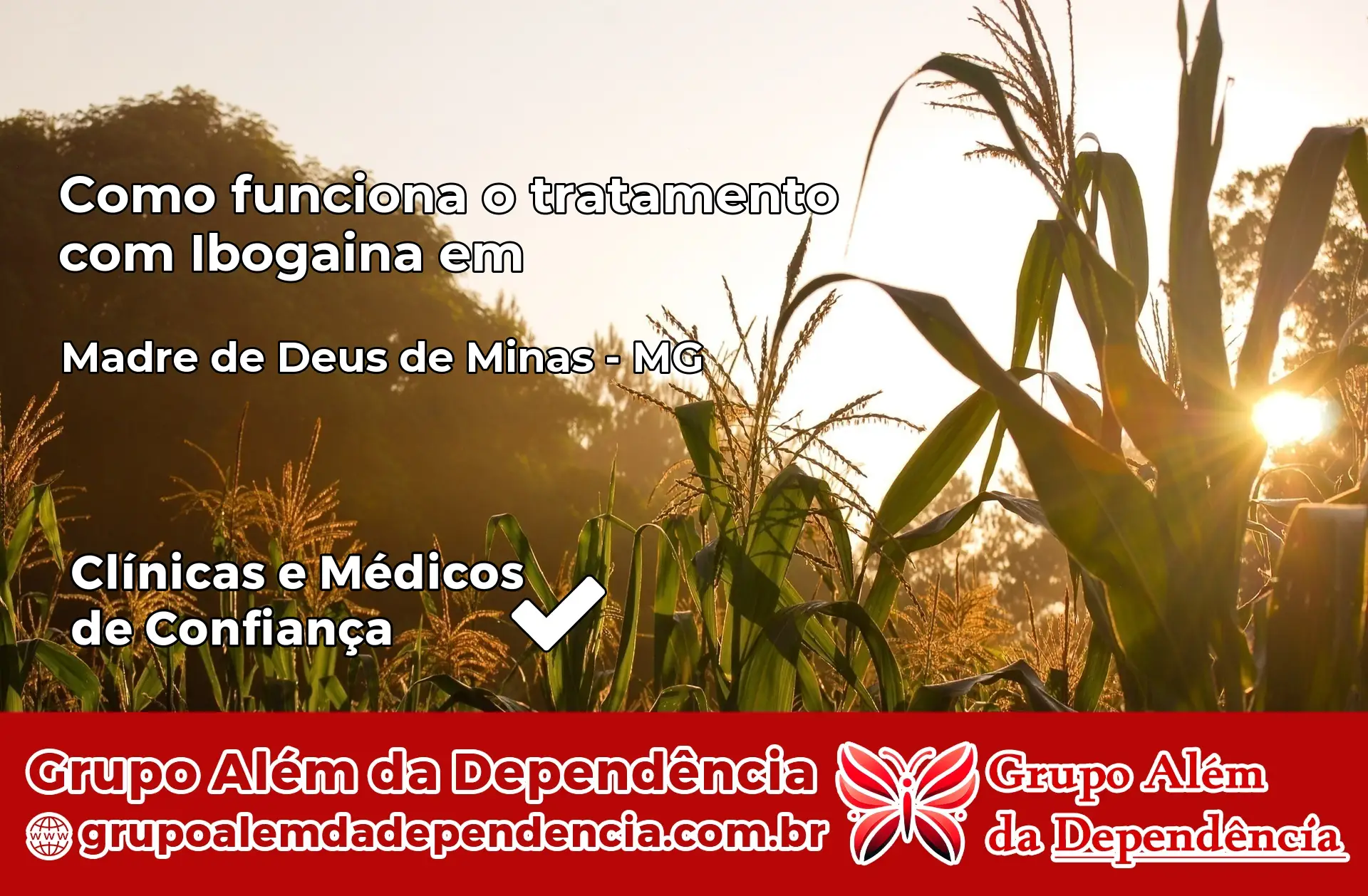 Como Funciona Ibogaína em Madre de Deus de Minas – MG