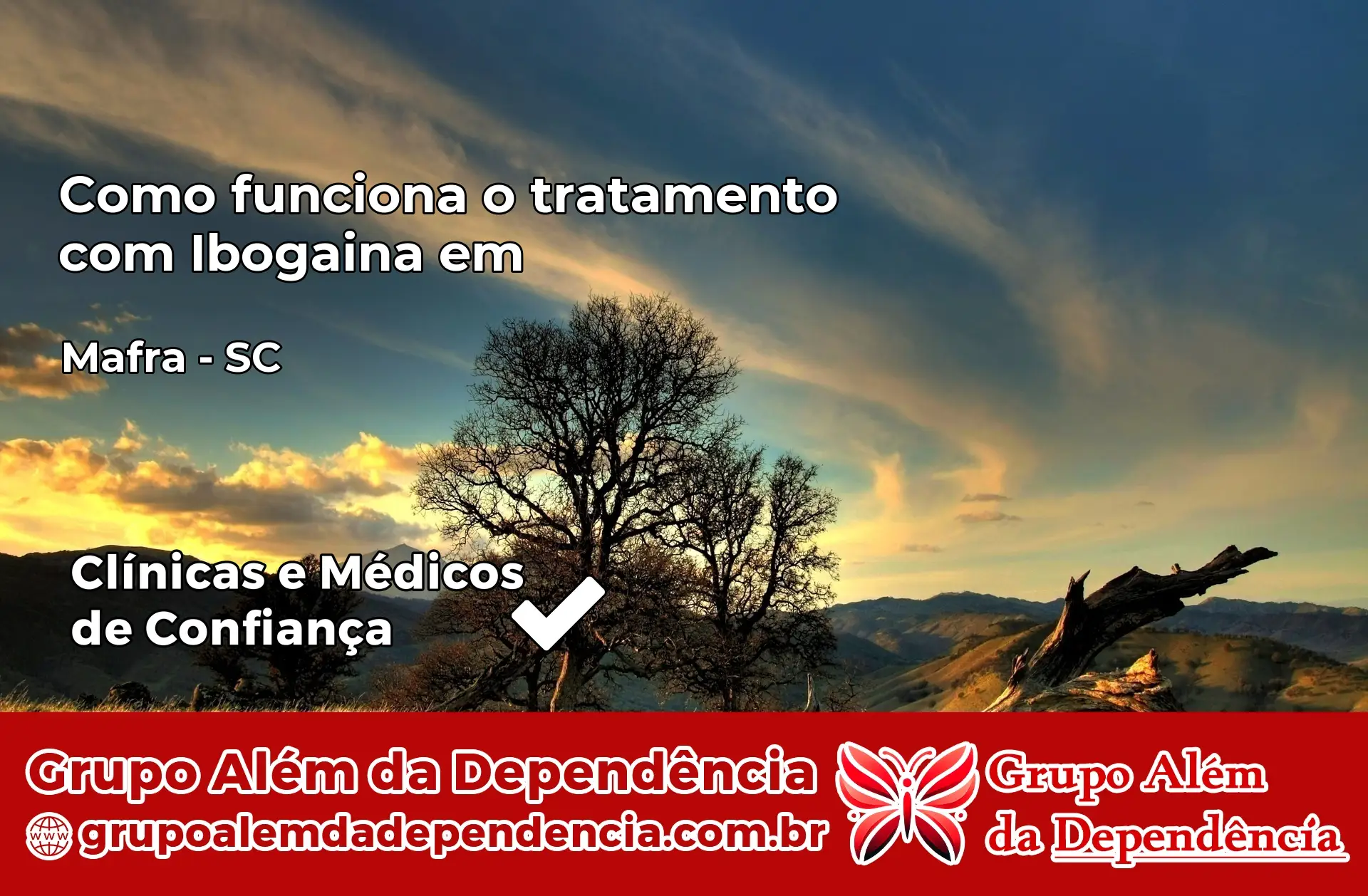 Como Funciona Ibogaína em Mafra – SC