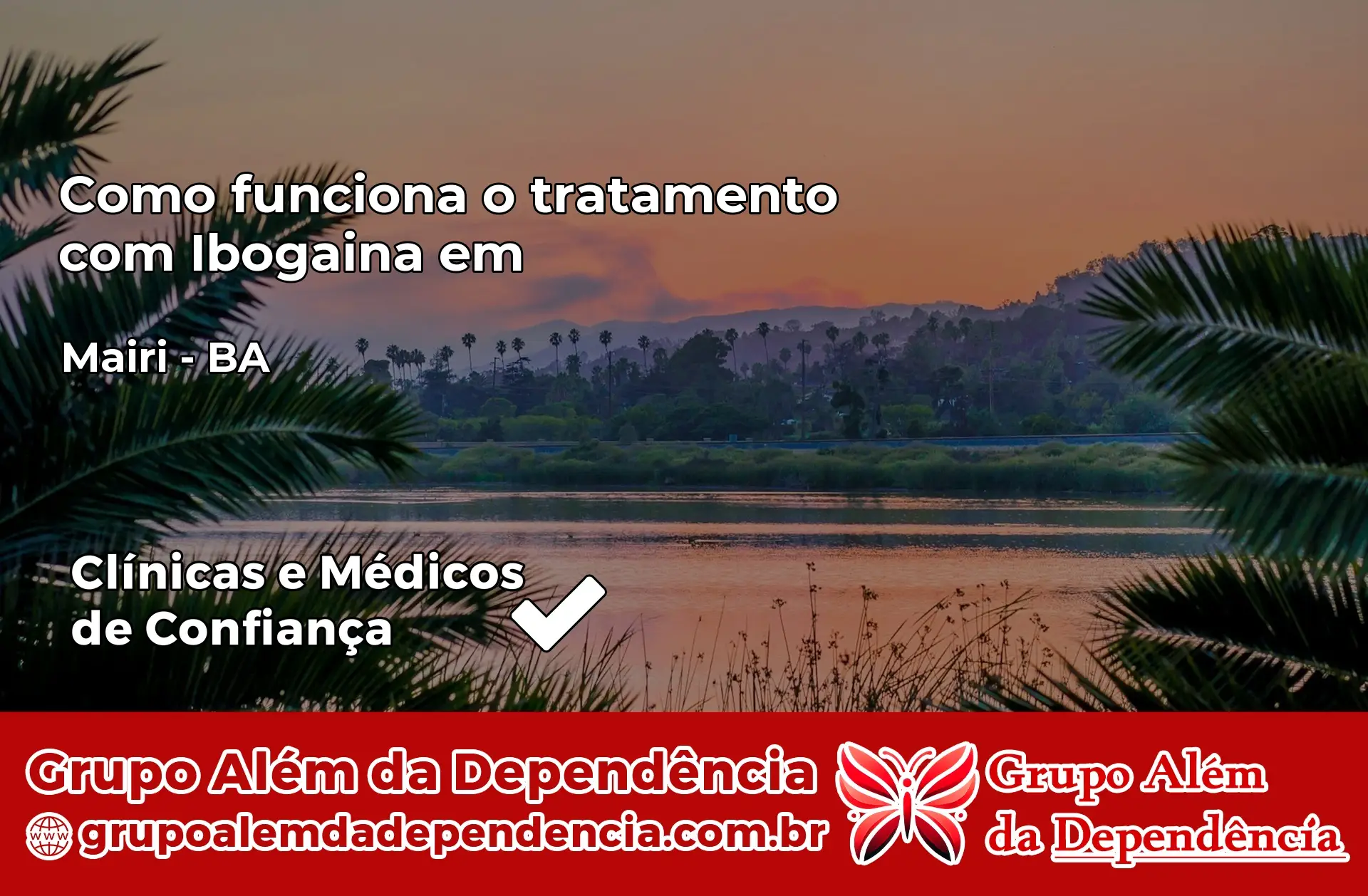 Como Funciona Ibogaína em Mairi – BA