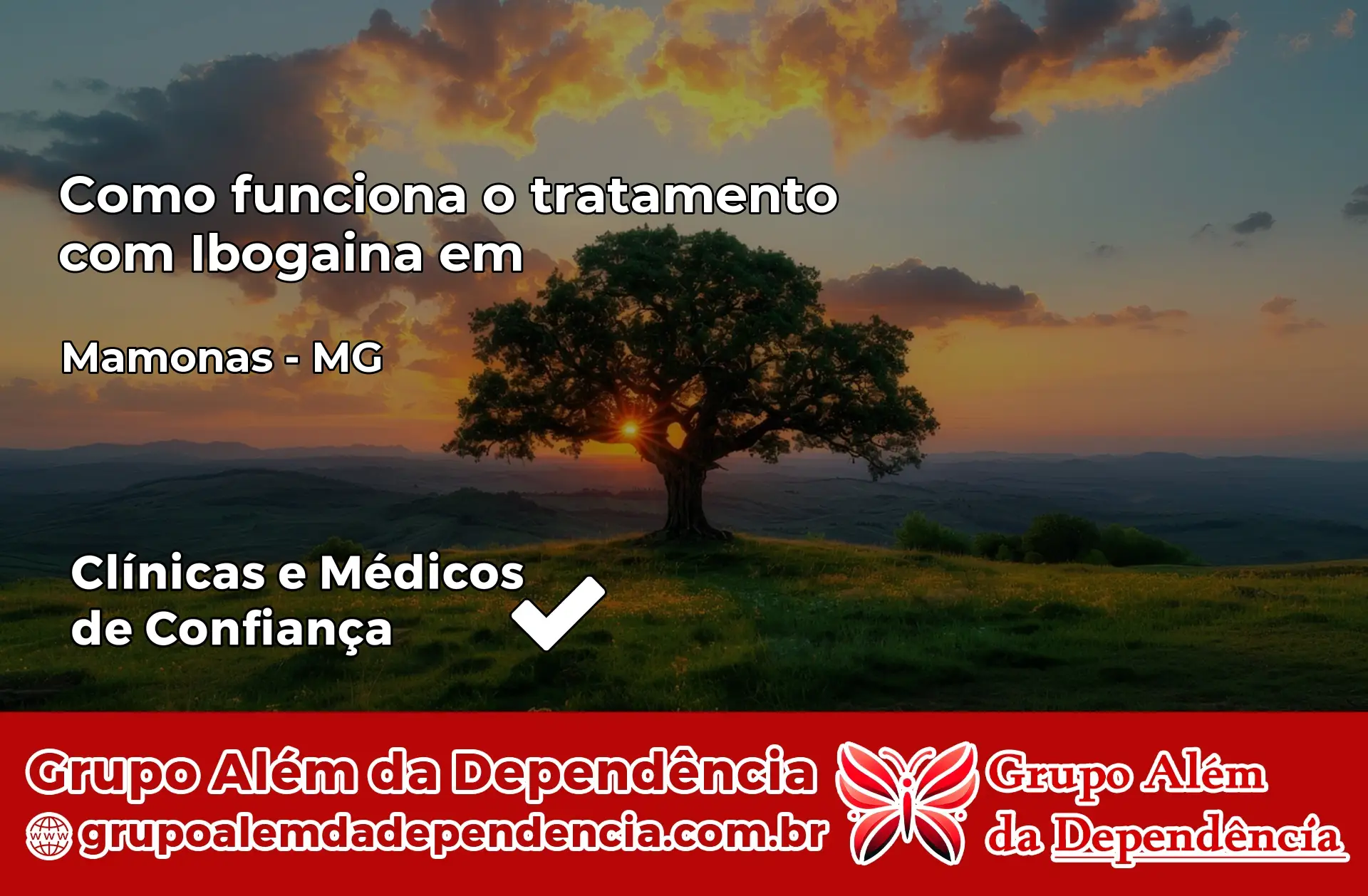 Como Funciona Ibogaína em Mamonas – MG