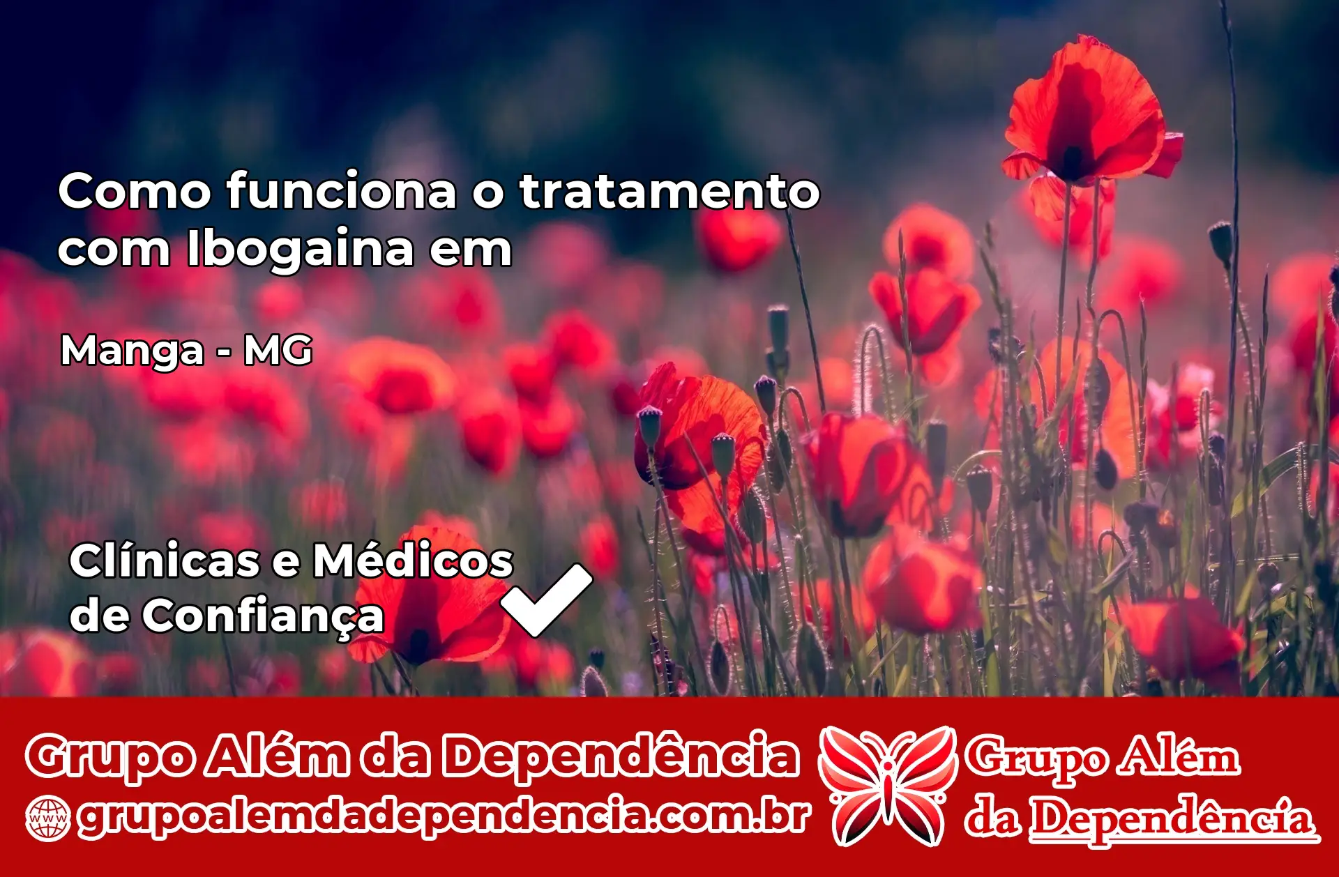 Como Funciona Ibogaína em Manga – MG