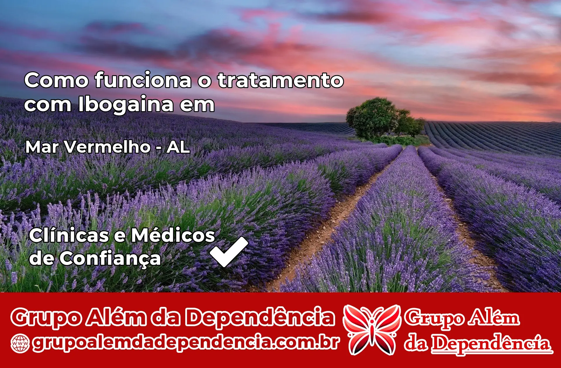 Como Funciona Ibogaína em Mar Vermelho – AL