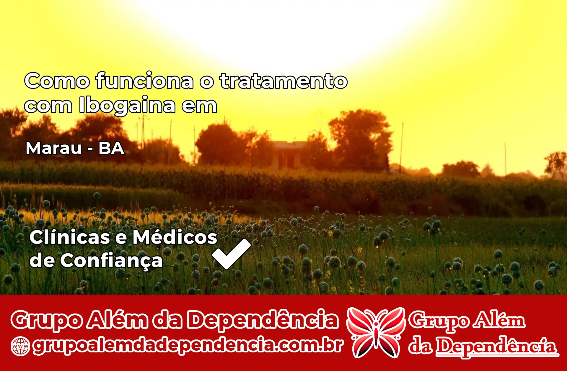 Como Funciona Ibogaína em Maraú – BA