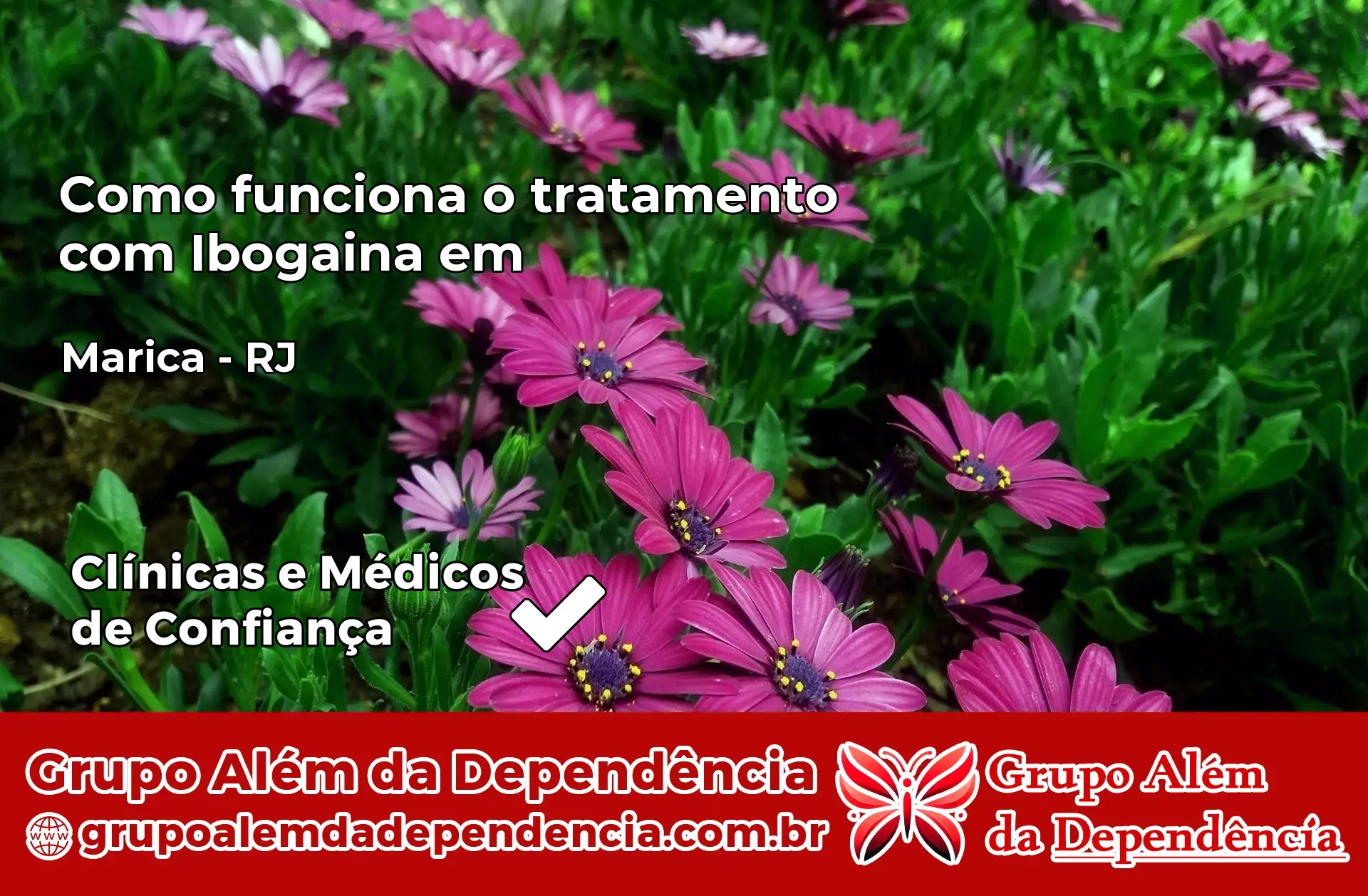 Como Funciona Ibogaína em Maricá – RJ