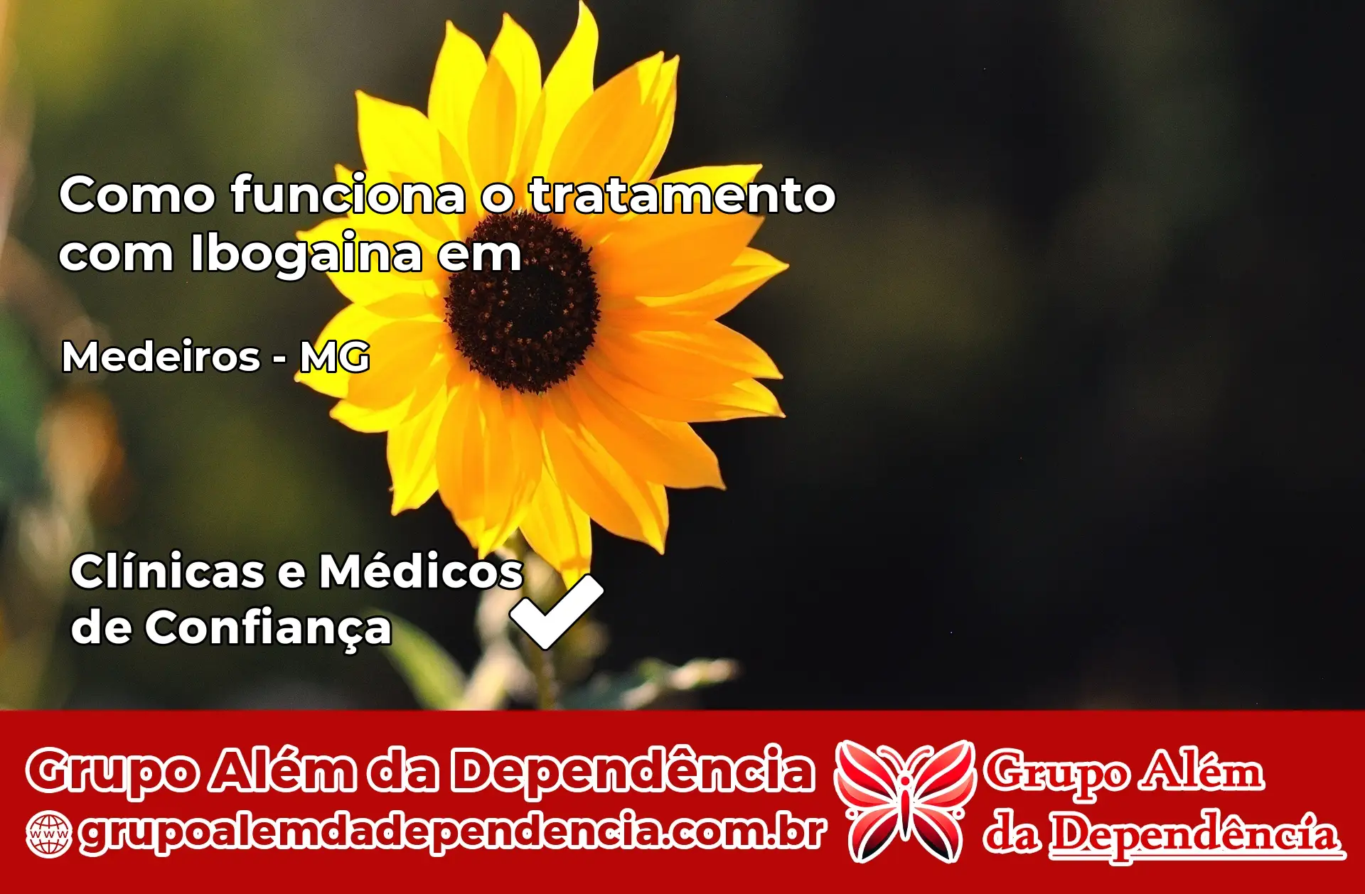 Como Funciona Ibogaína em Medeiros – MG