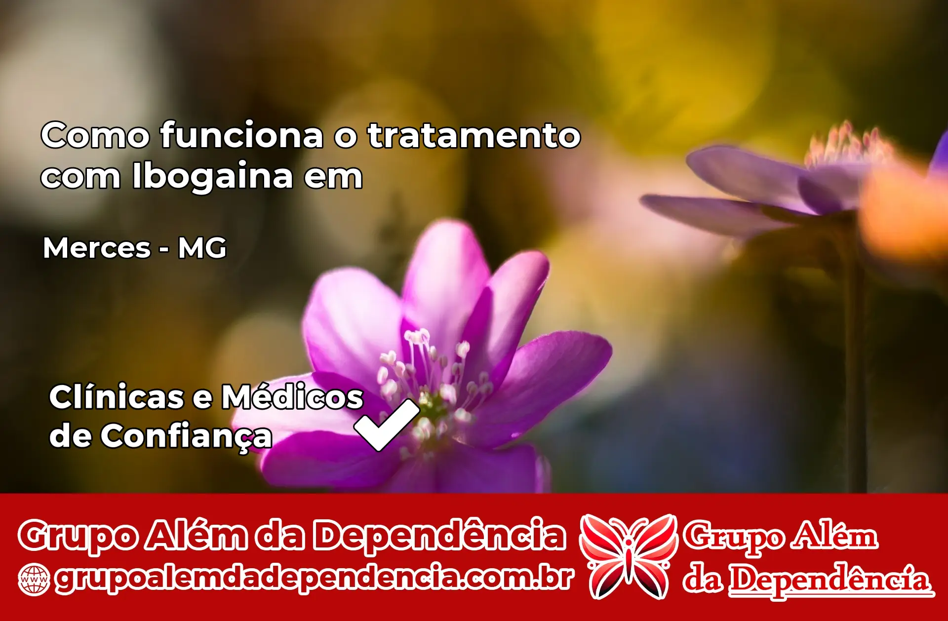 Como Funciona Ibogaína em Mercês – MG