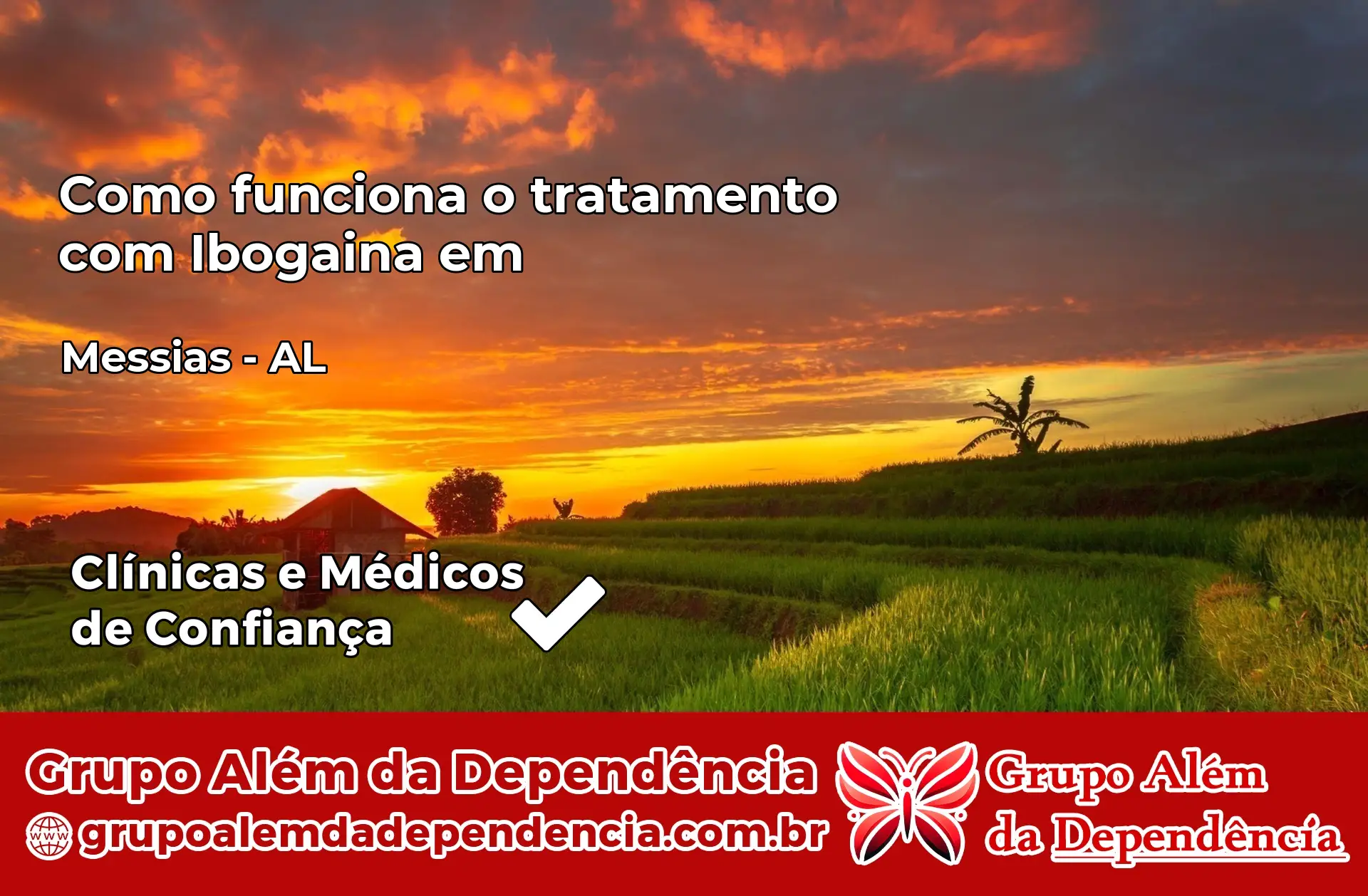 Como Funciona Ibogaína em Messias – AL