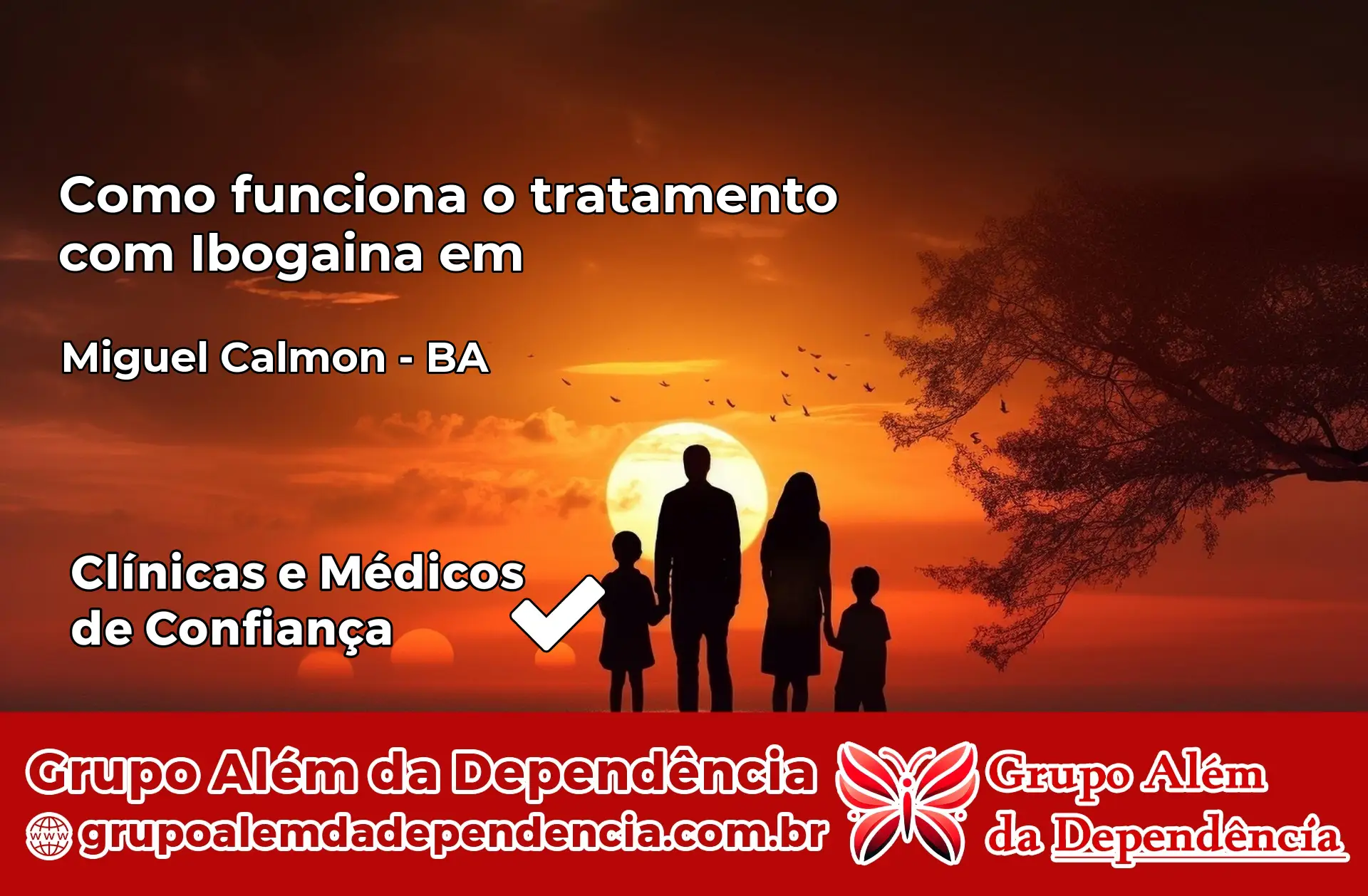 Como Funciona Ibogaína em Miguel Calmon – BA