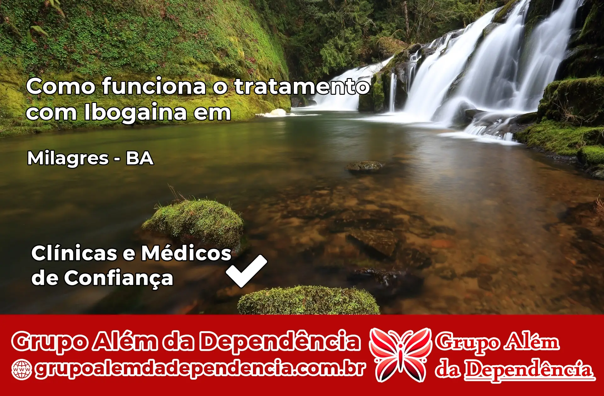 Como Funciona Ibogaína em Milagres – BA