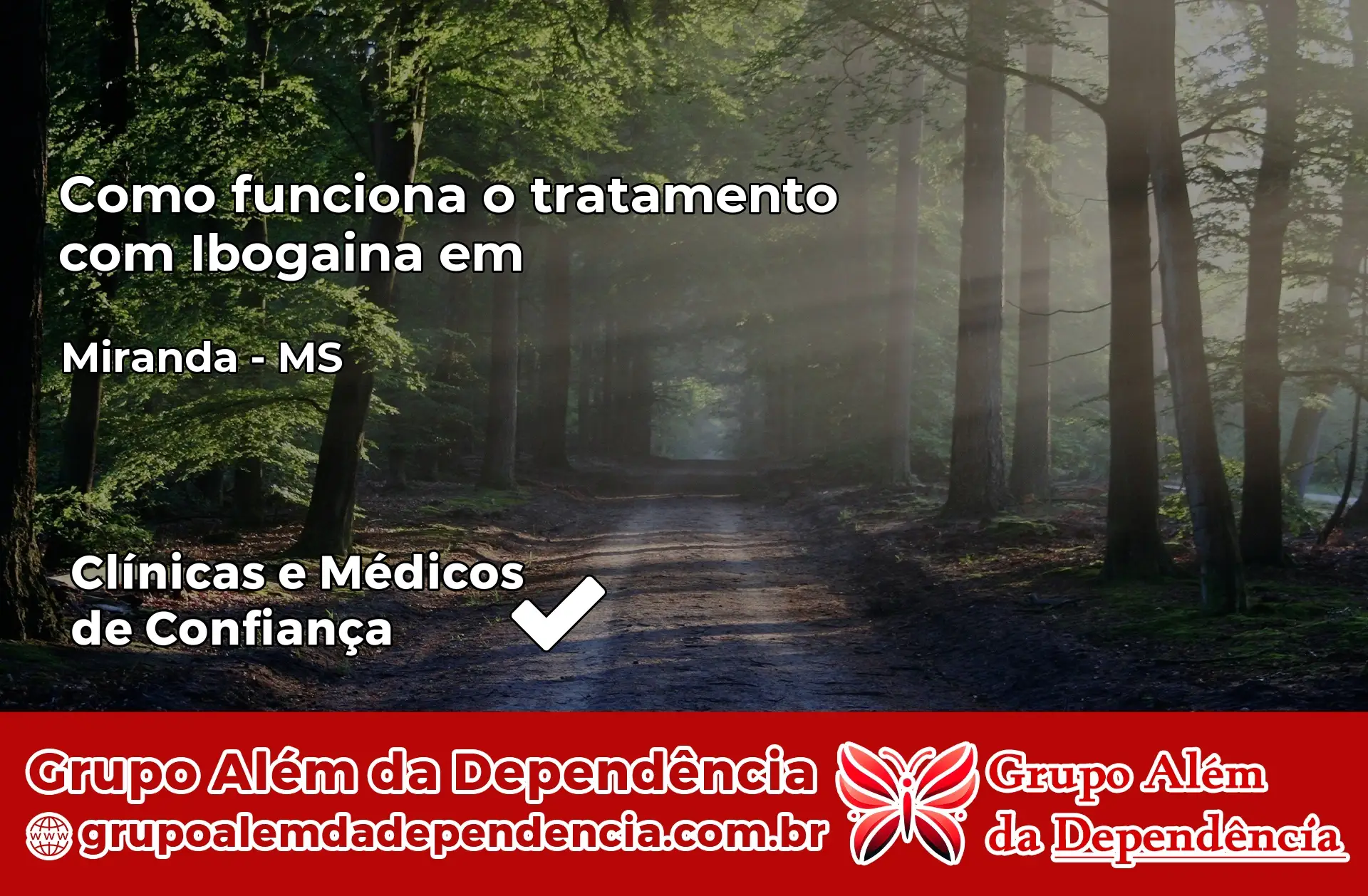 Como Funciona Ibogaína em Miranda – MS