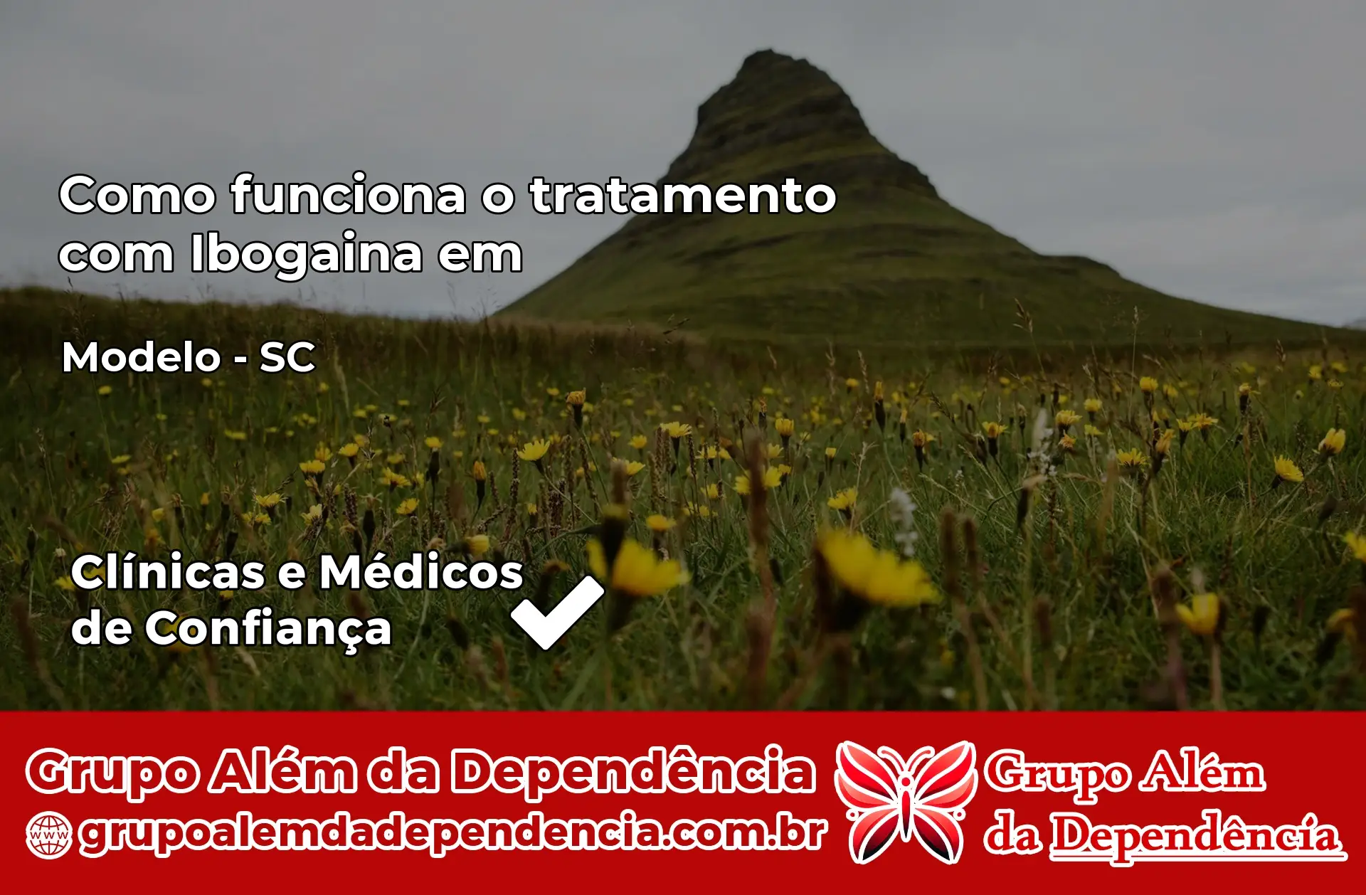 Como Funciona Ibogaína em Modelo – SC