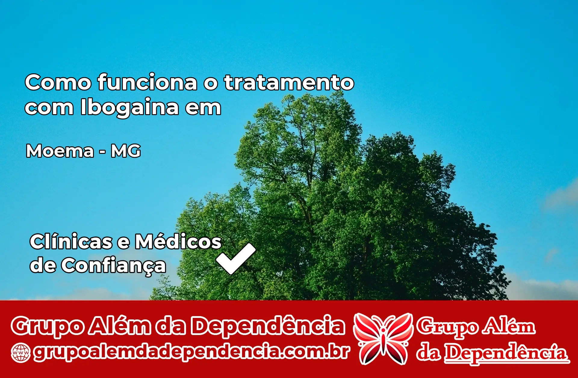 Como Funciona Ibogaína em Moema – MG