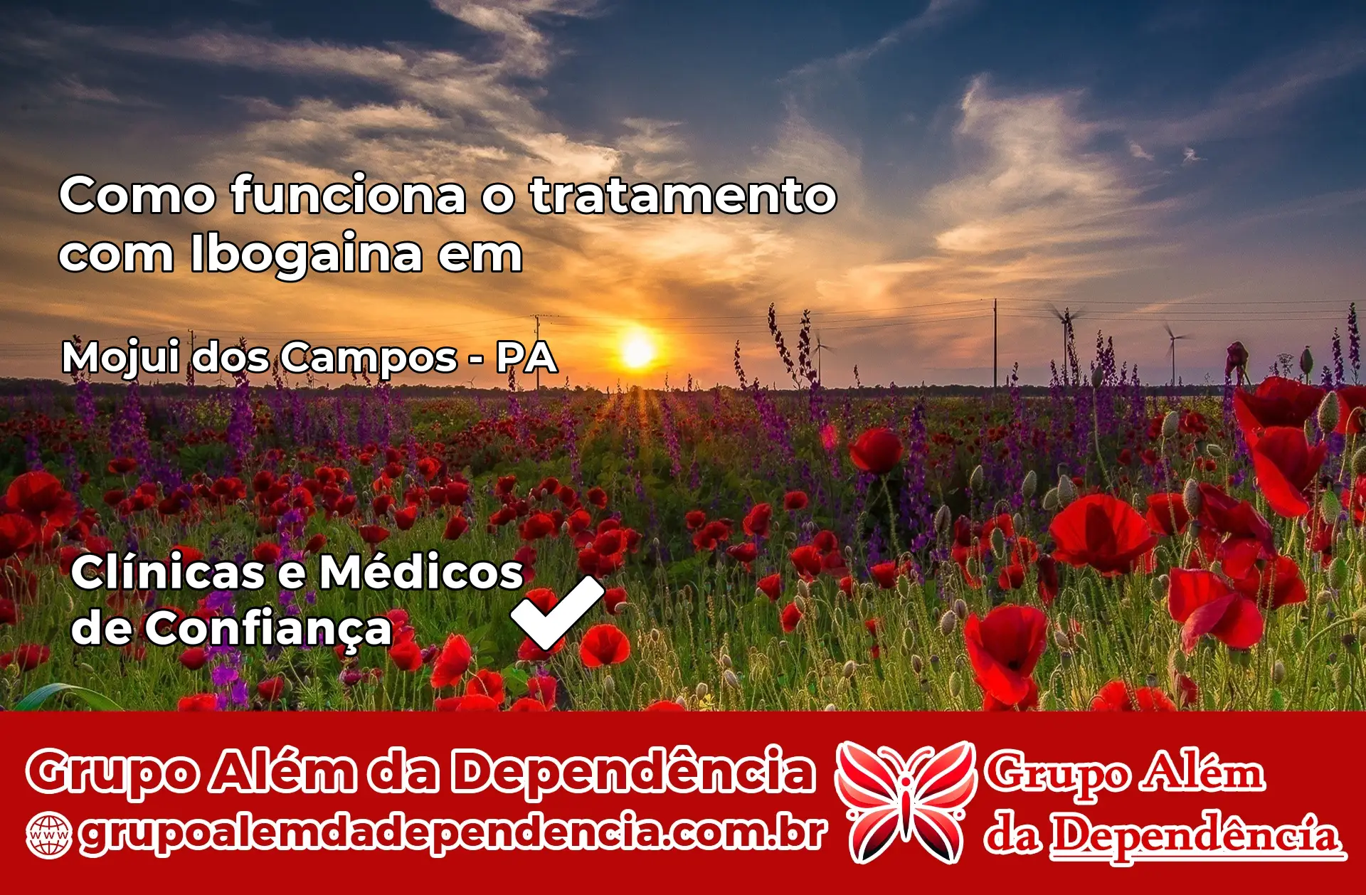 Como Funciona Ibogaína em Mojuí dos Campos – PA