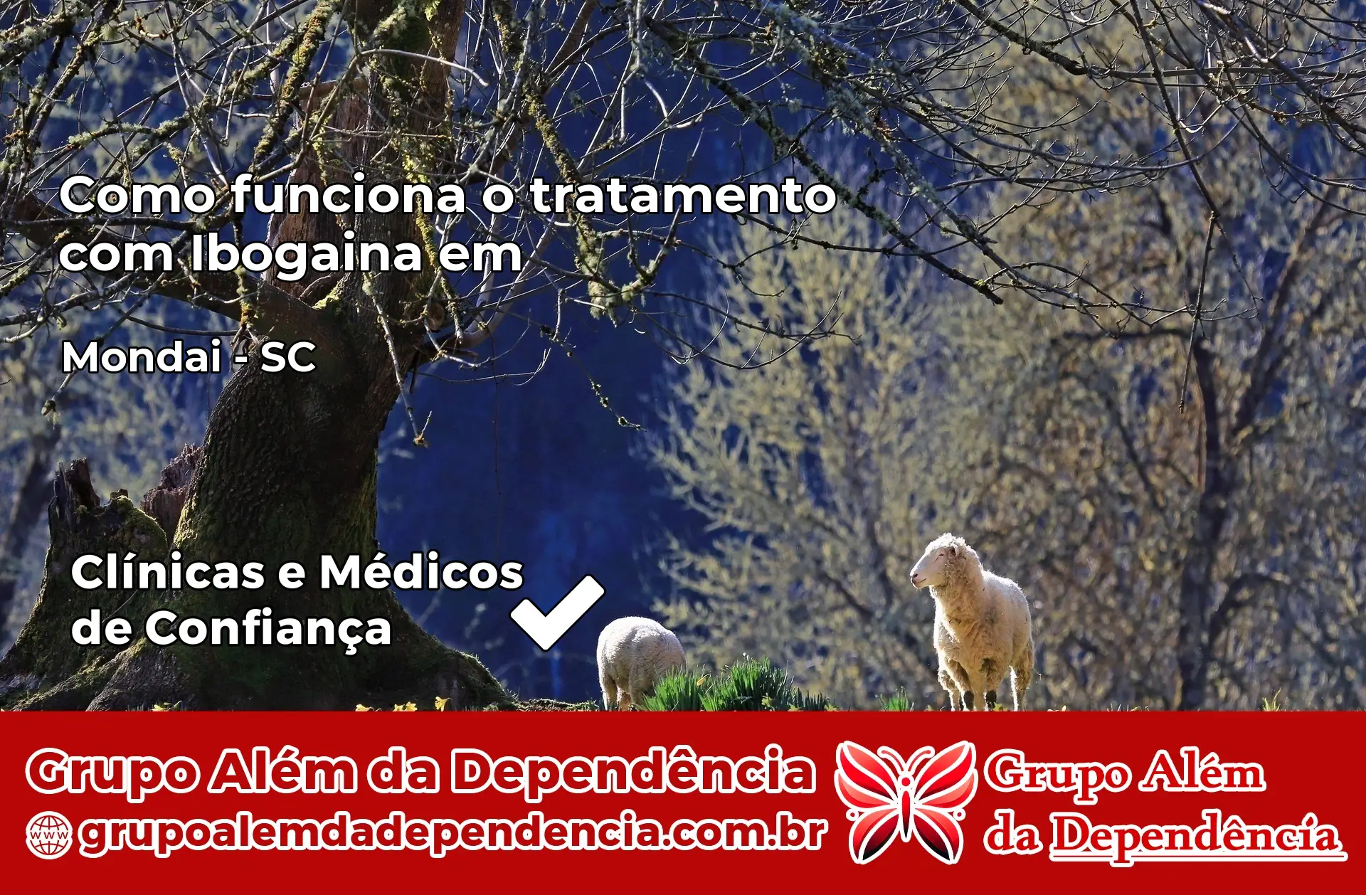 Como Funciona Ibogaína em Mondaí – SC
