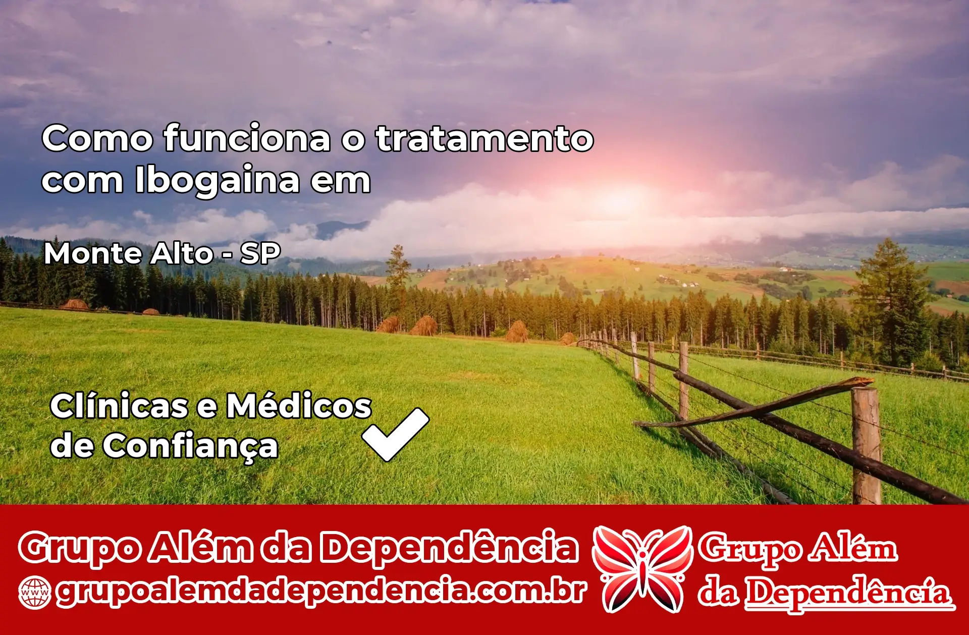 Como Funciona Ibogaína em Monte Alto – SP