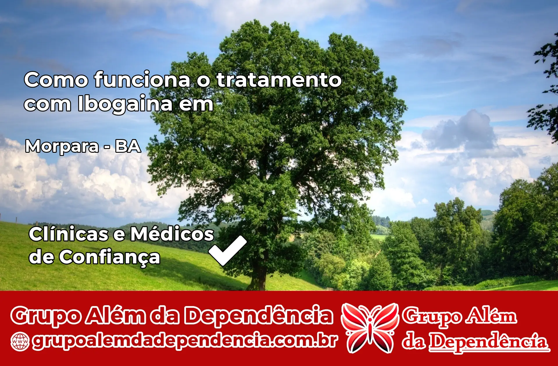 Como Funciona Ibogaína em Morpará – BA