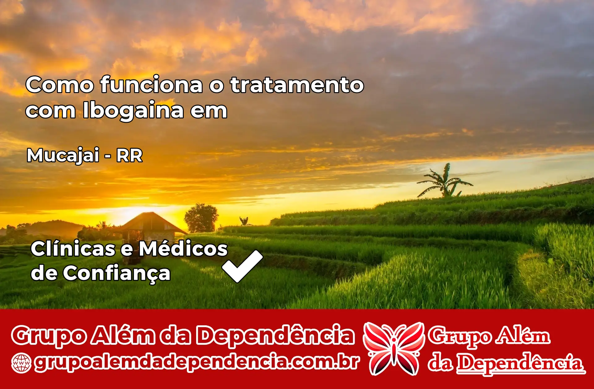 Como Funciona Ibogaína em Mucajaí – RR