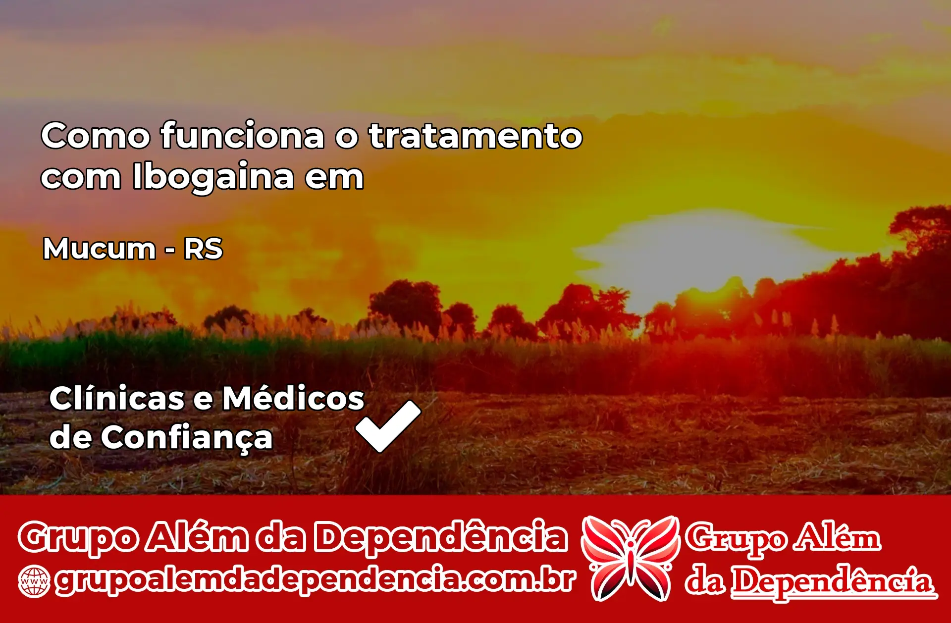 Como Funciona Ibogaína em Muçum – RS