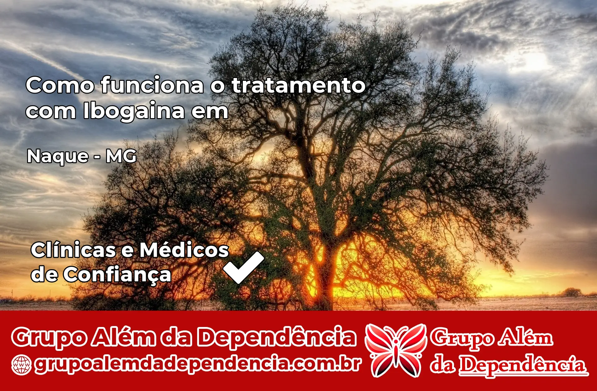 Como Funciona Ibogaína em Naque – MG