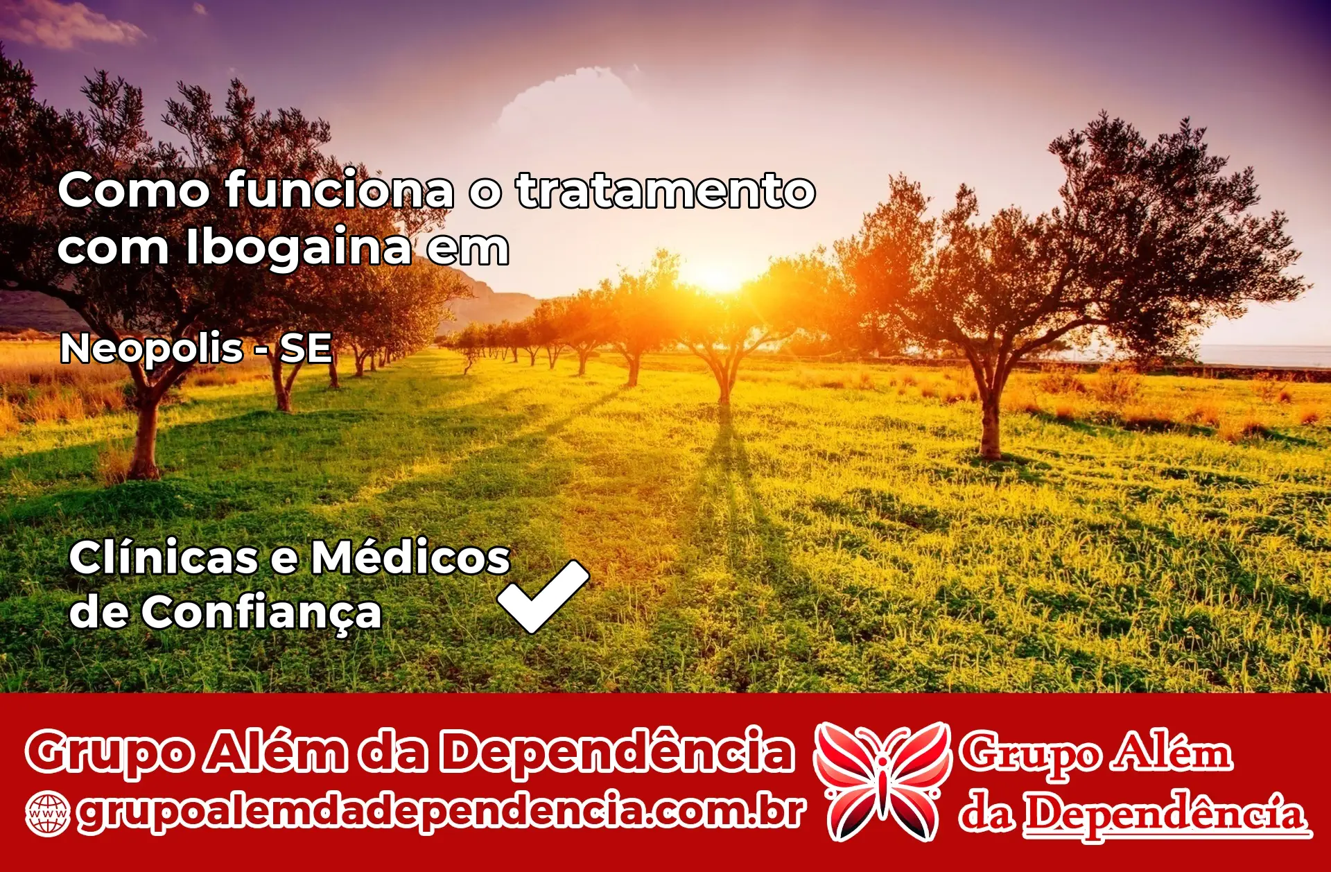 Como Funciona Ibogaína em Neópolis – SE