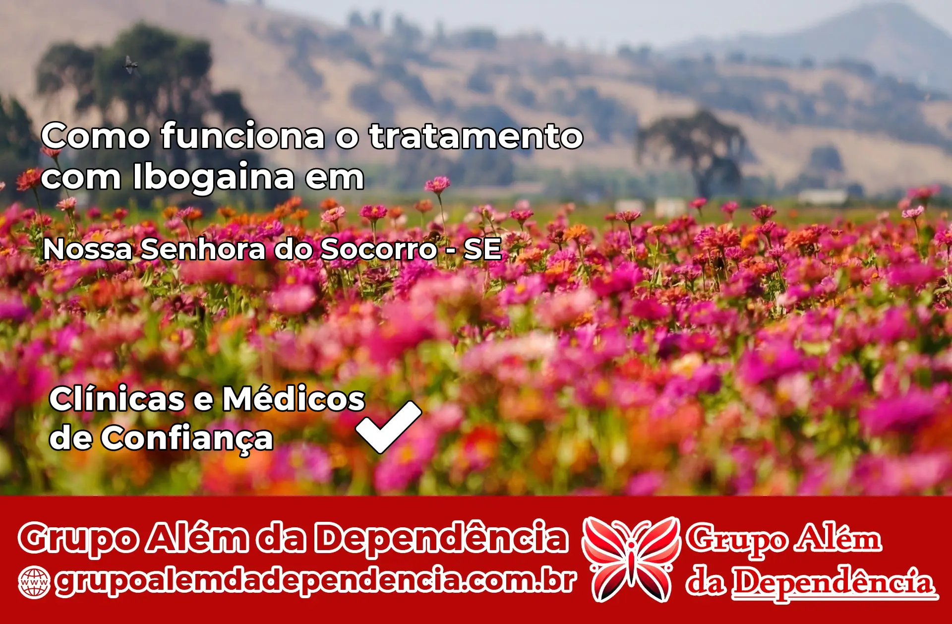 Como Funciona Ibogaína em Nossa Senhora do Socorro – SE