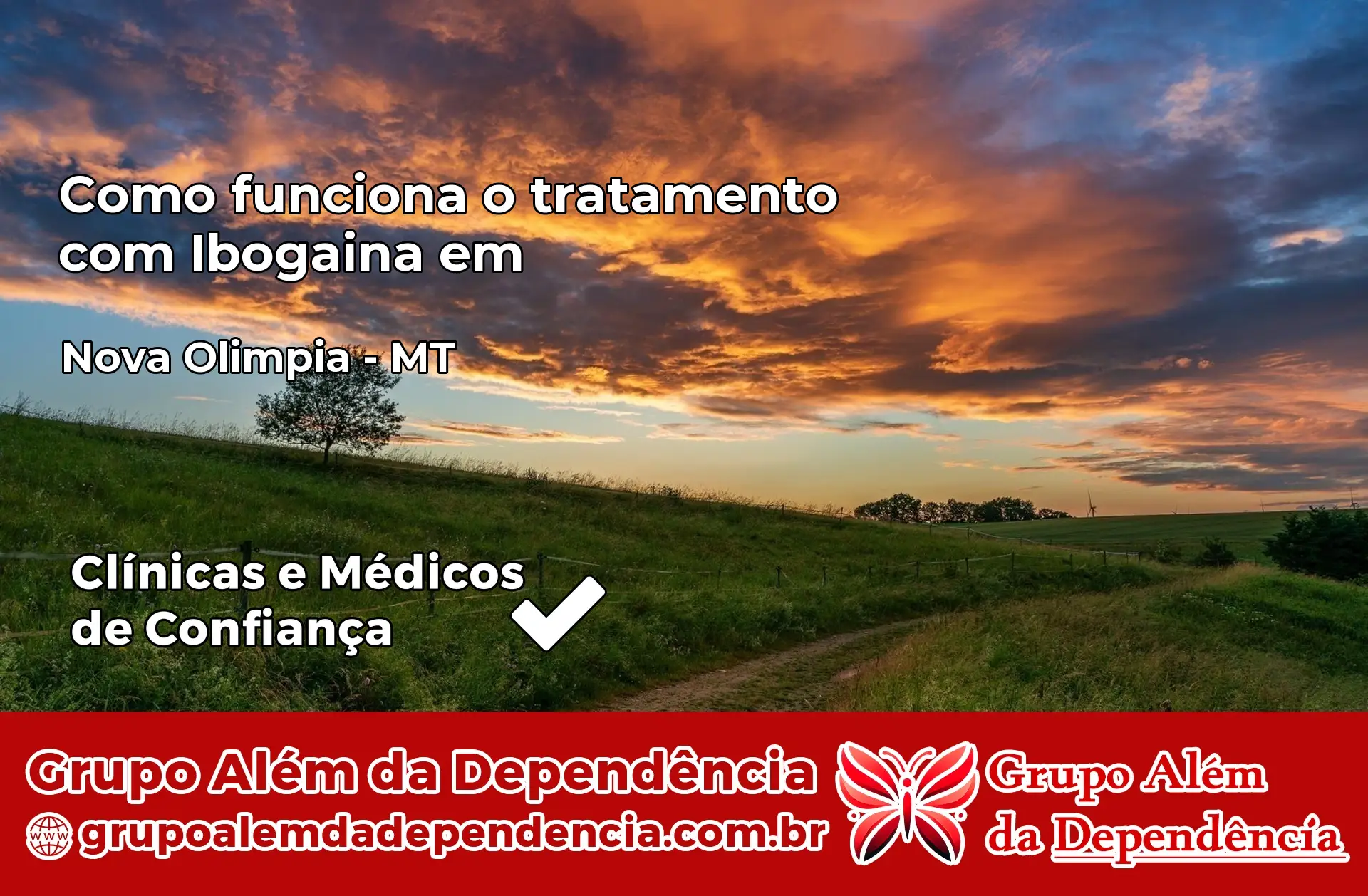 Como Funciona Ibogaína em Nova Olímpia – MT