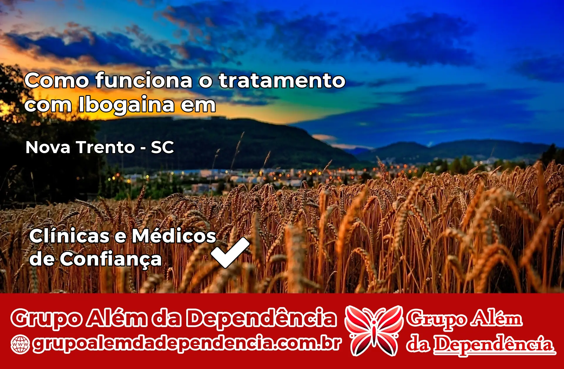 Como Funciona Ibogaína em Nova Trento – SC
