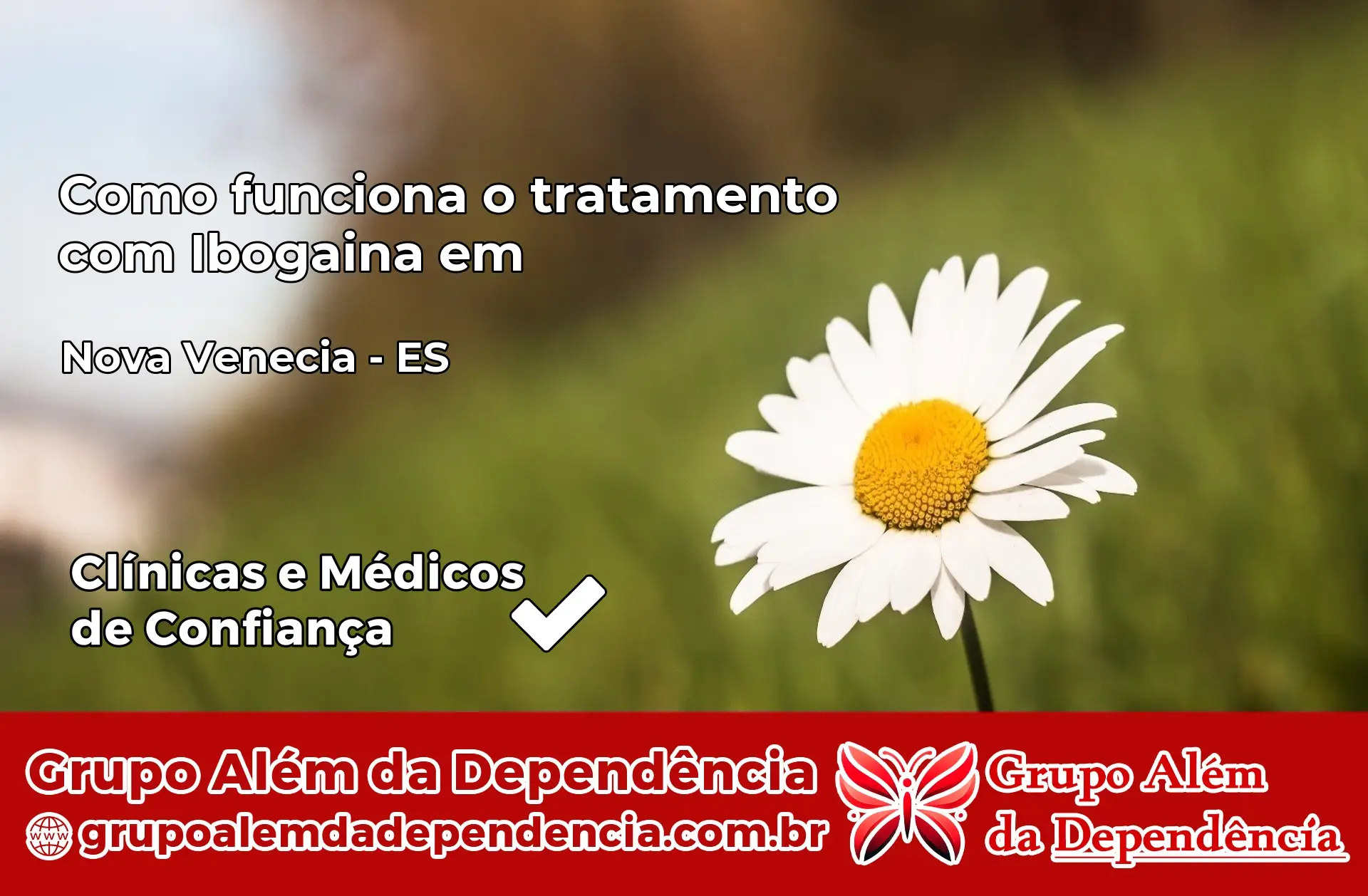 Como Funciona Ibogaína em Nova Venécia – ES