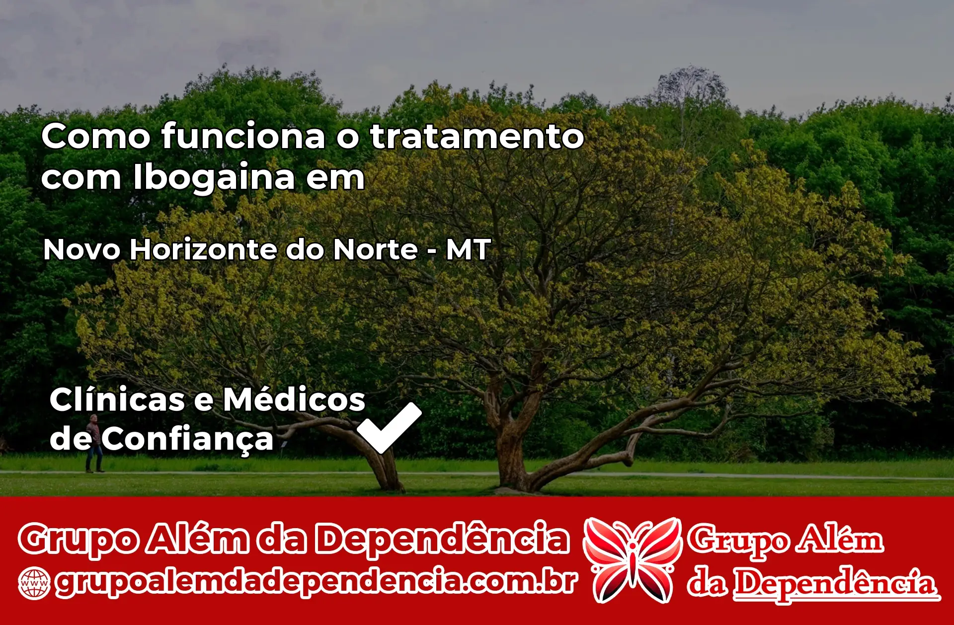 Como Funciona Ibogaína em Novo Horizonte do Norte – MT