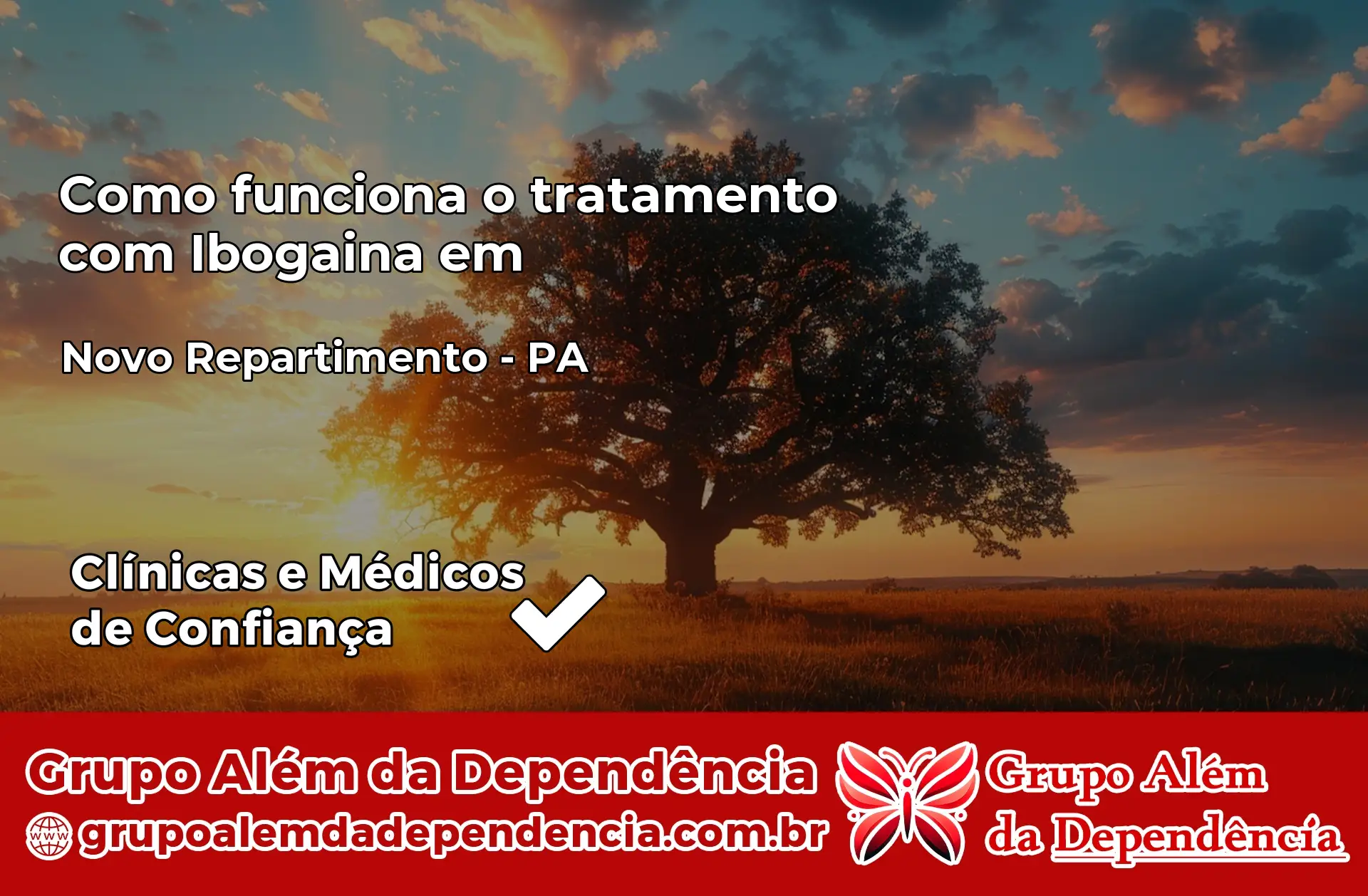 Como Funciona Ibogaína em Novo Repartimento – PA