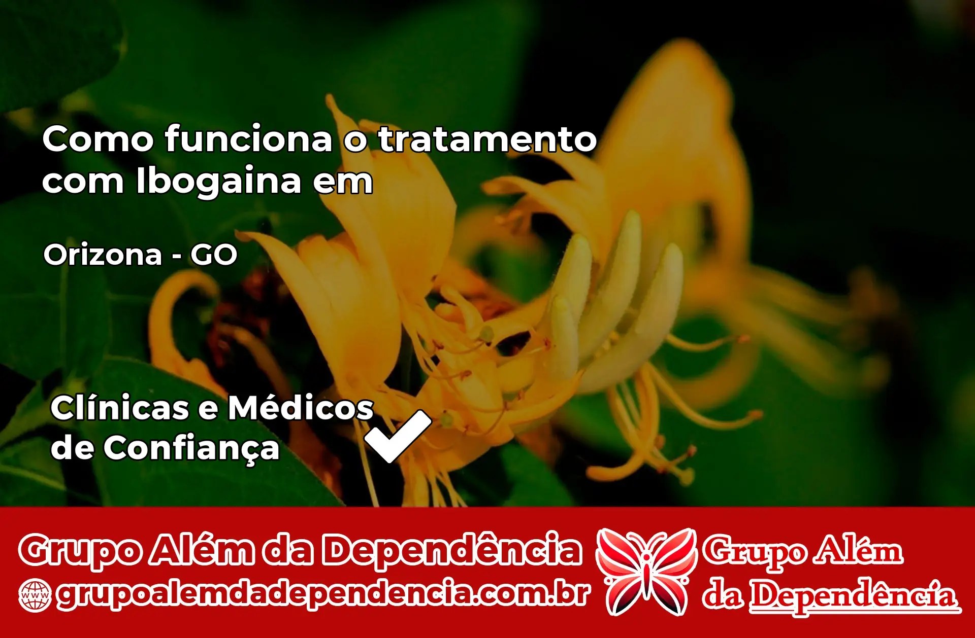 Como Funciona Ibogaína em Orizona – GO