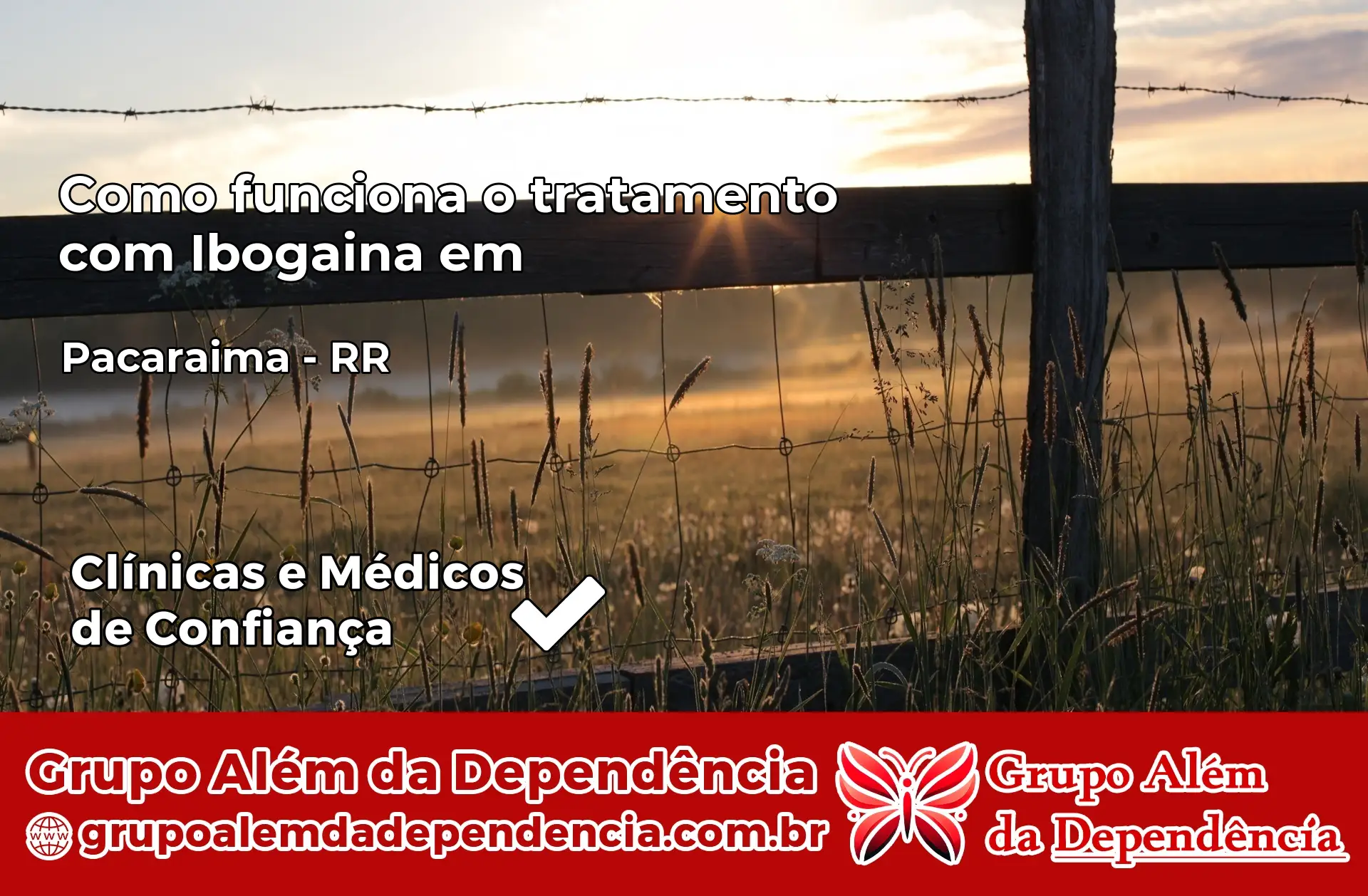Como Funciona Ibogaína em Pacaraima – RR