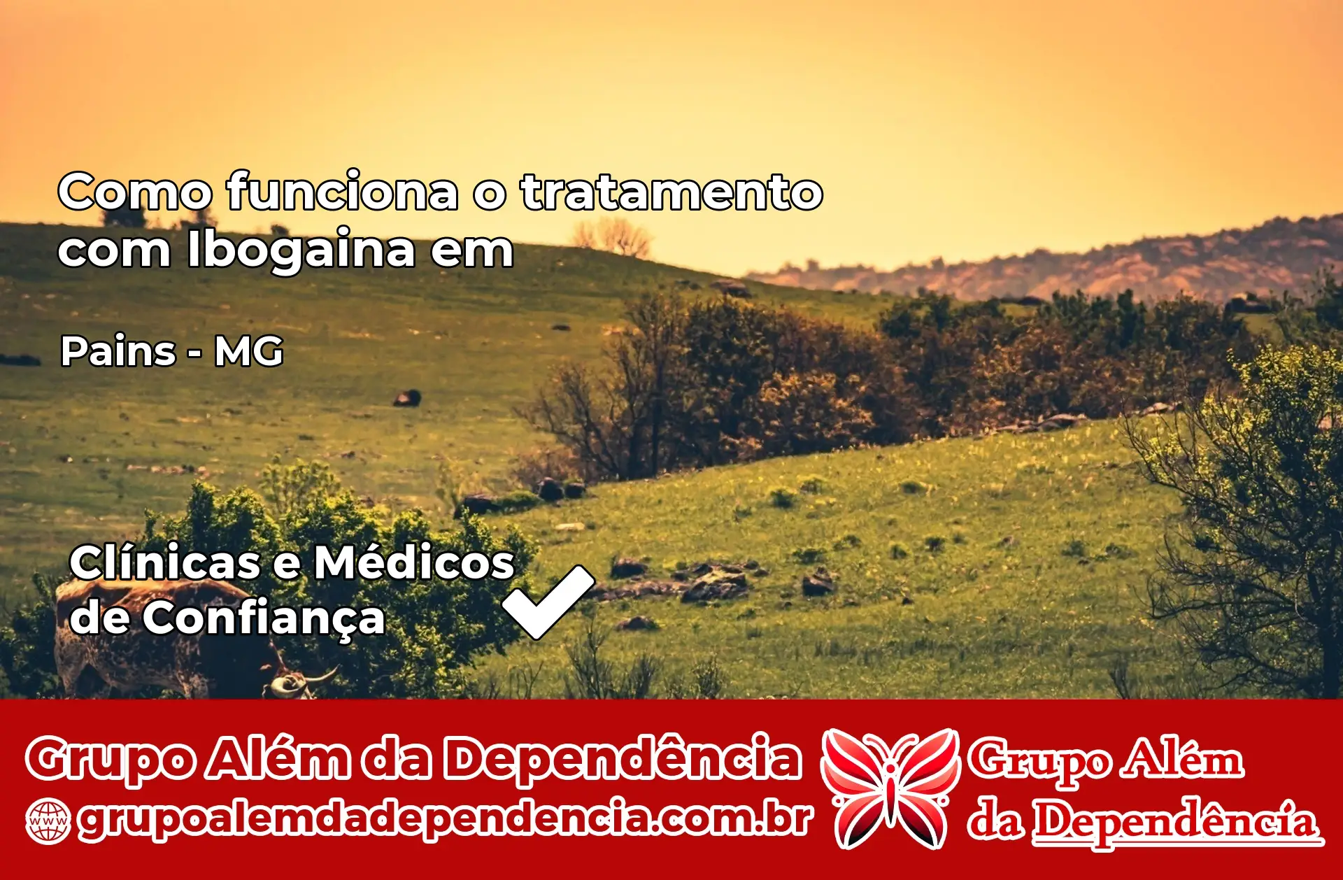 Como Funciona Ibogaína em Pains – MG