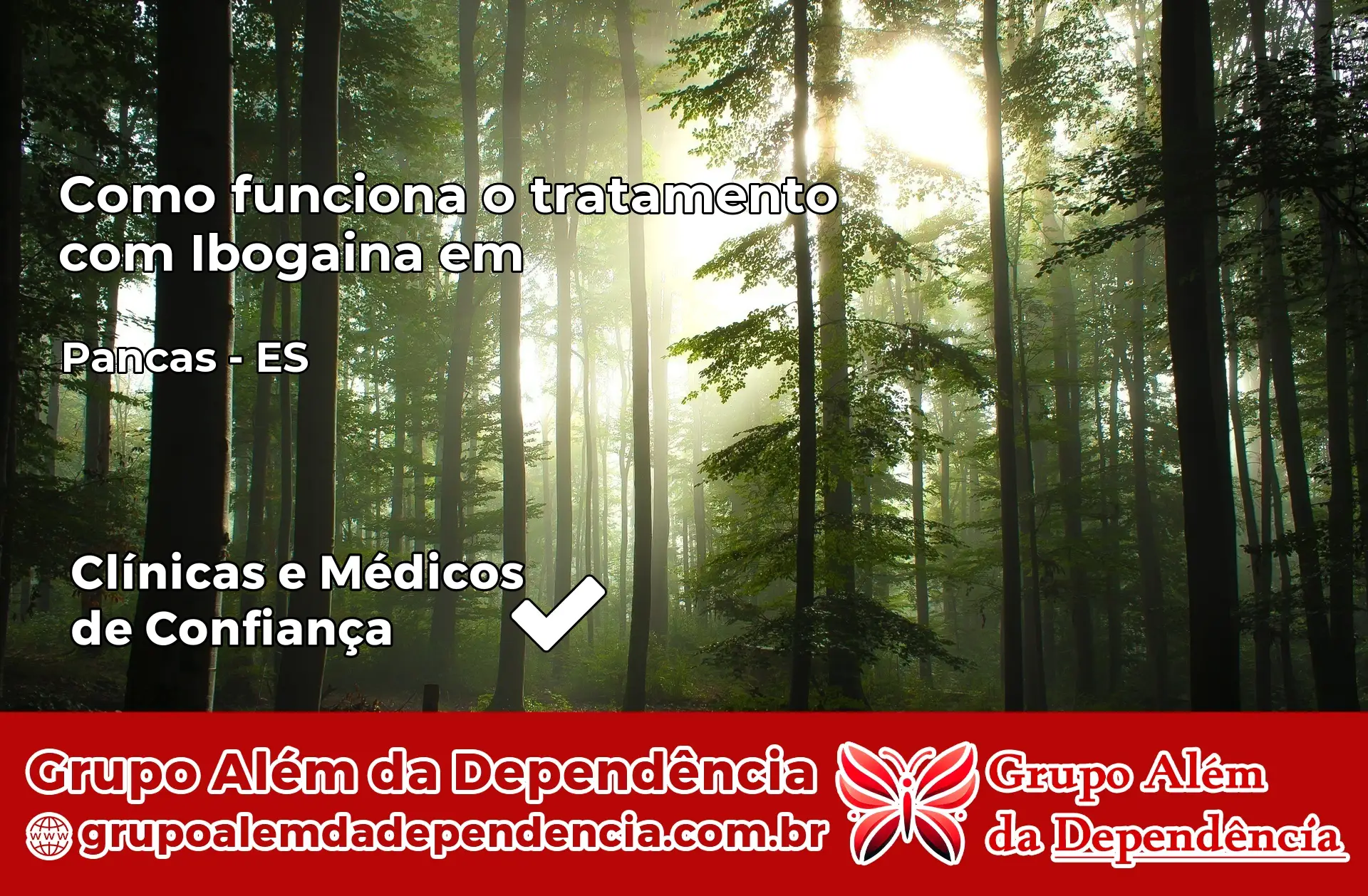 Como Funciona Ibogaína em Pancas – ES