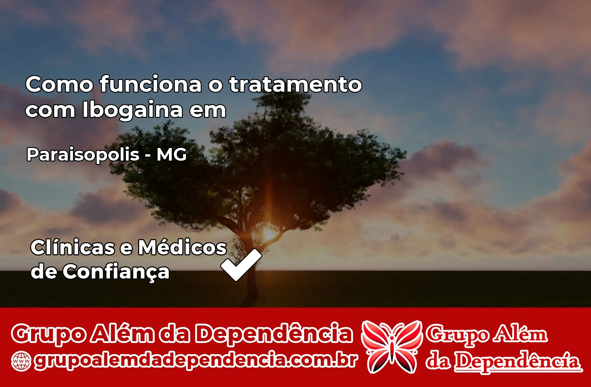 Como Funciona Ibogaína em Paraisópolis – MG