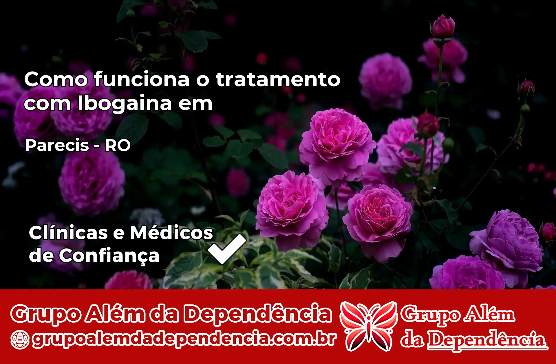 Como Funciona Ibogaína em Parecis – RO