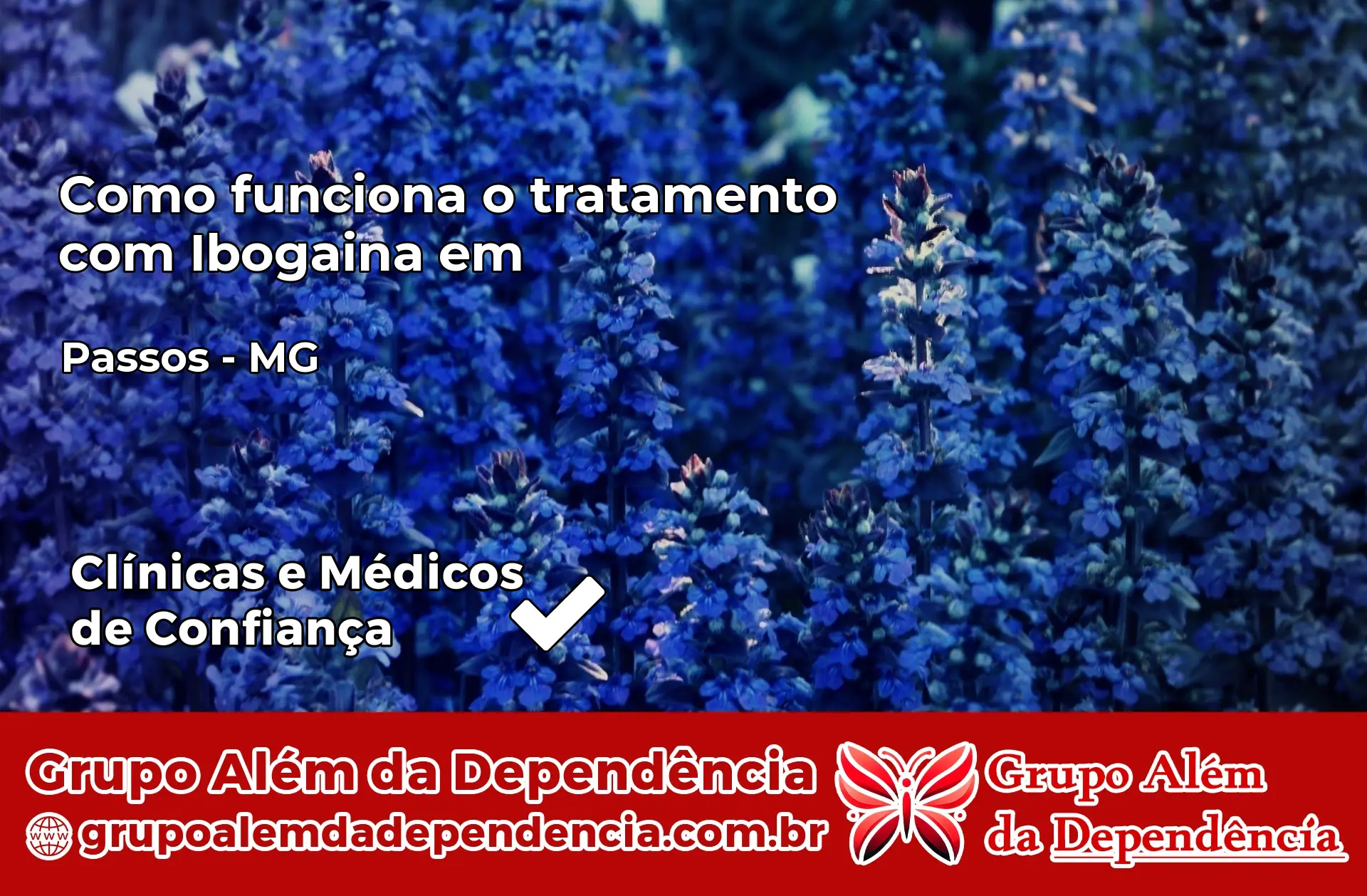 Como Funciona Ibogaína em Passos – MG