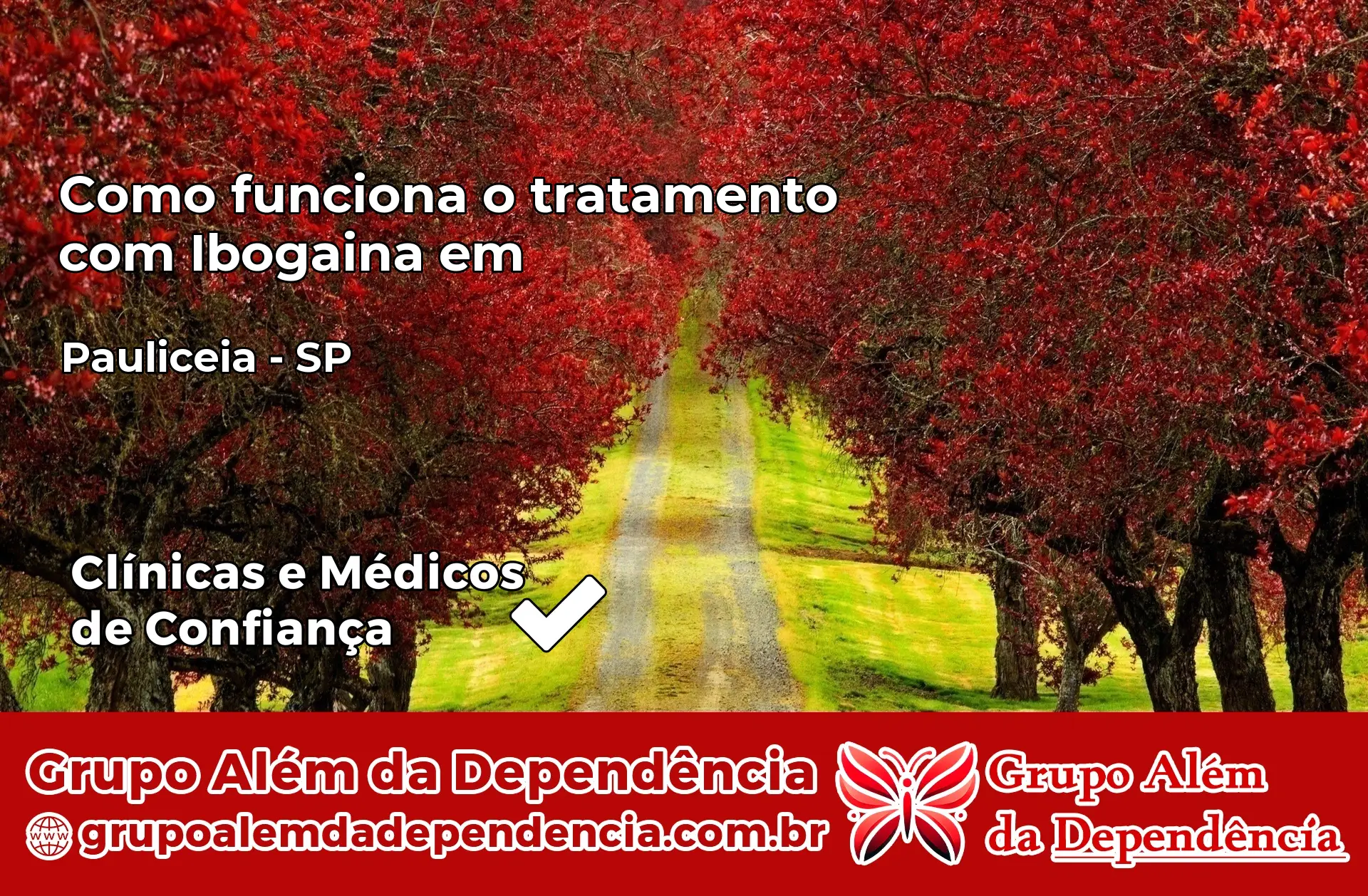 Como Funciona Ibogaína em Paulicéia – SP
