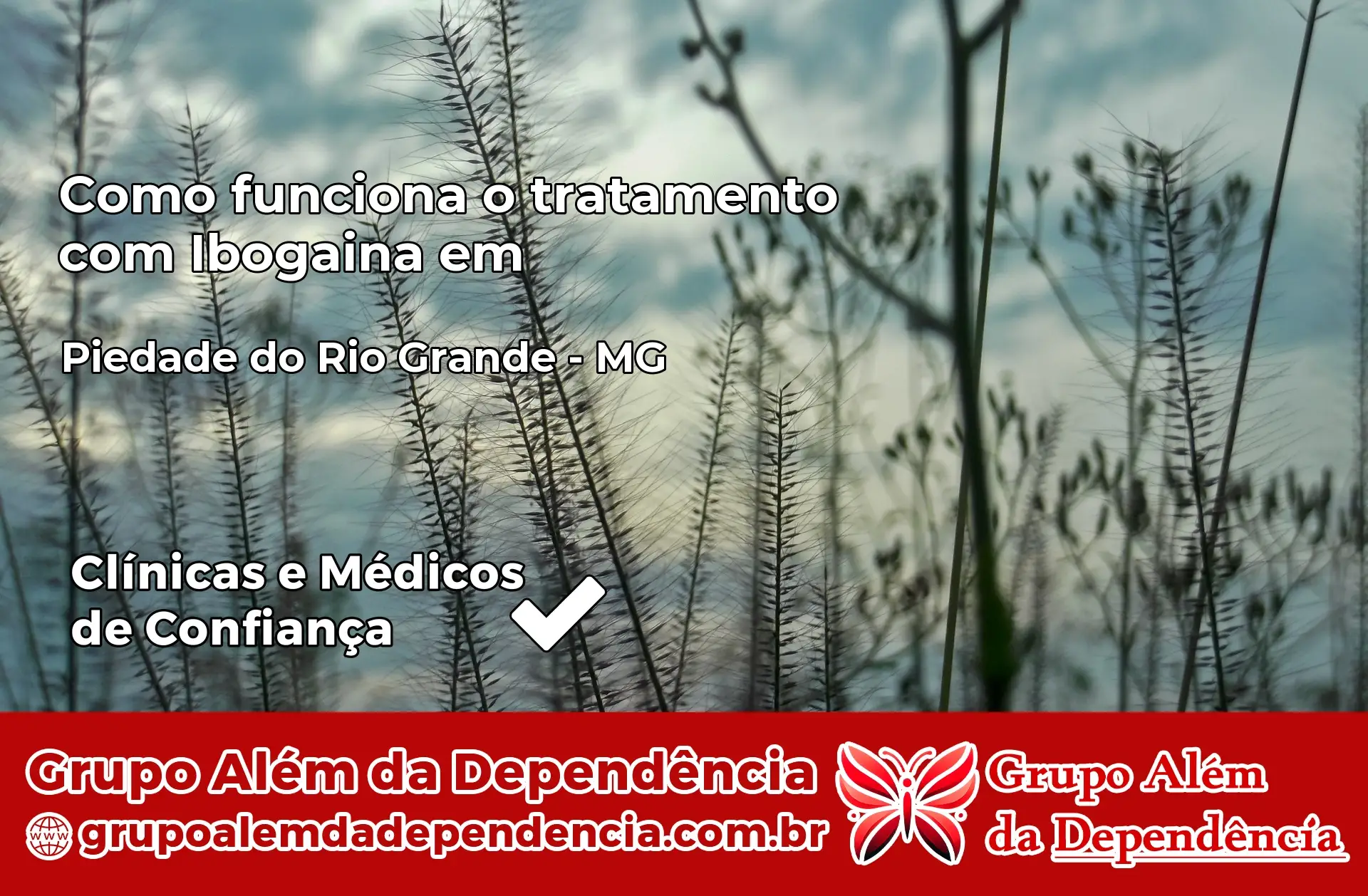 Como Funciona Ibogaína em Piedade do Rio Grande – MG