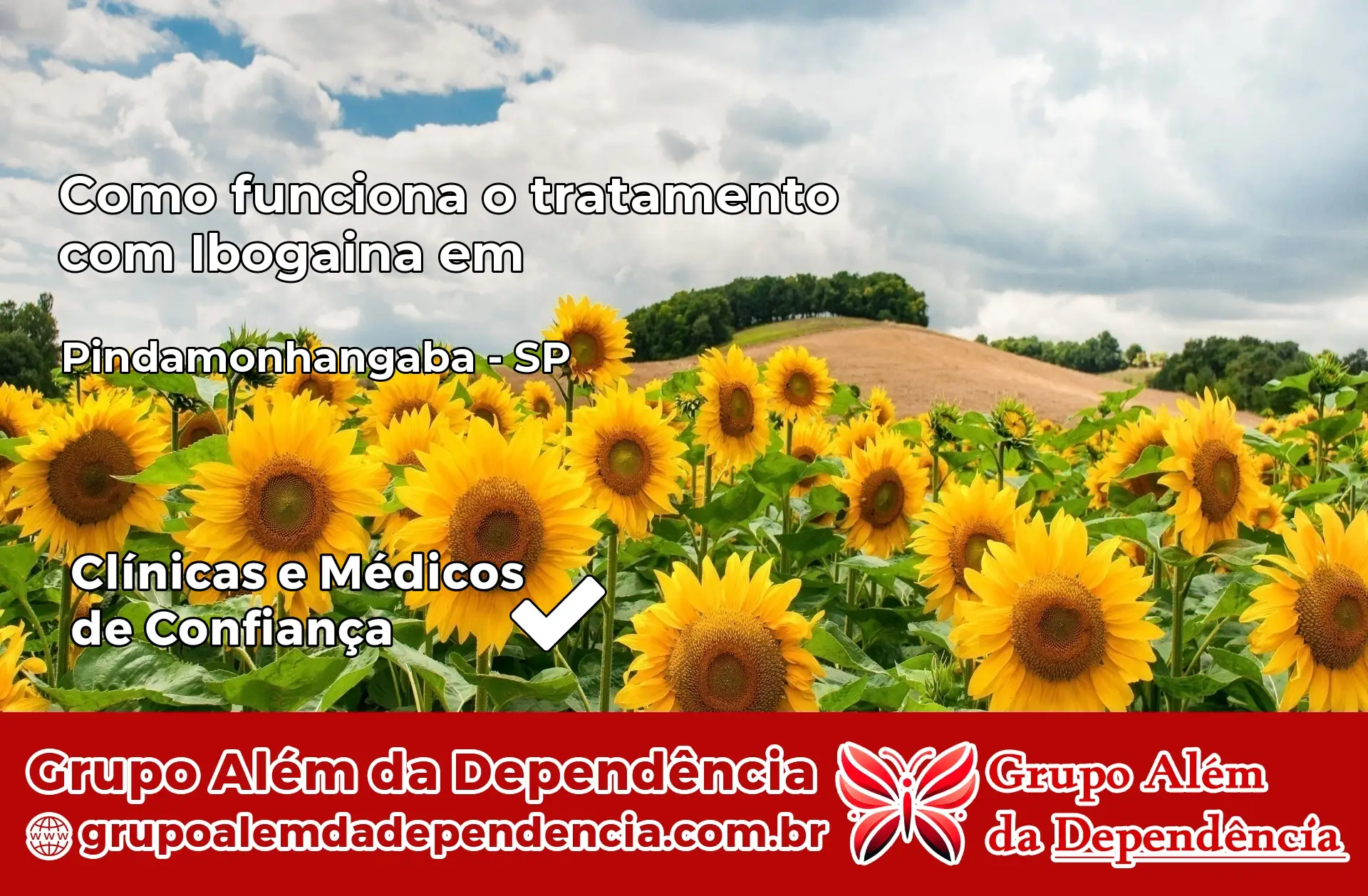Como Funciona Ibogaína em Pindamonhangaba – SP