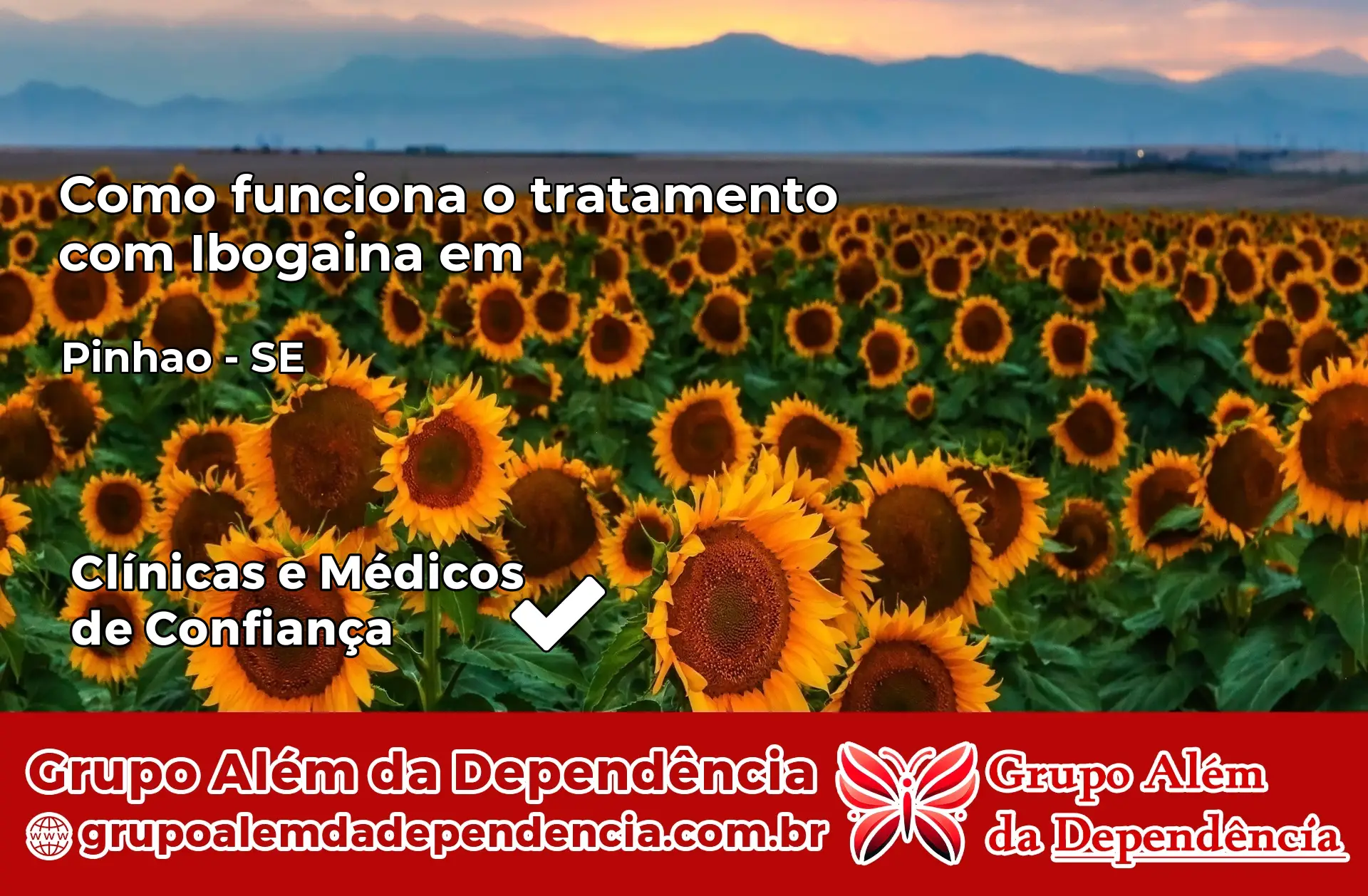 Como Funciona Ibogaína em Pinhão – SE