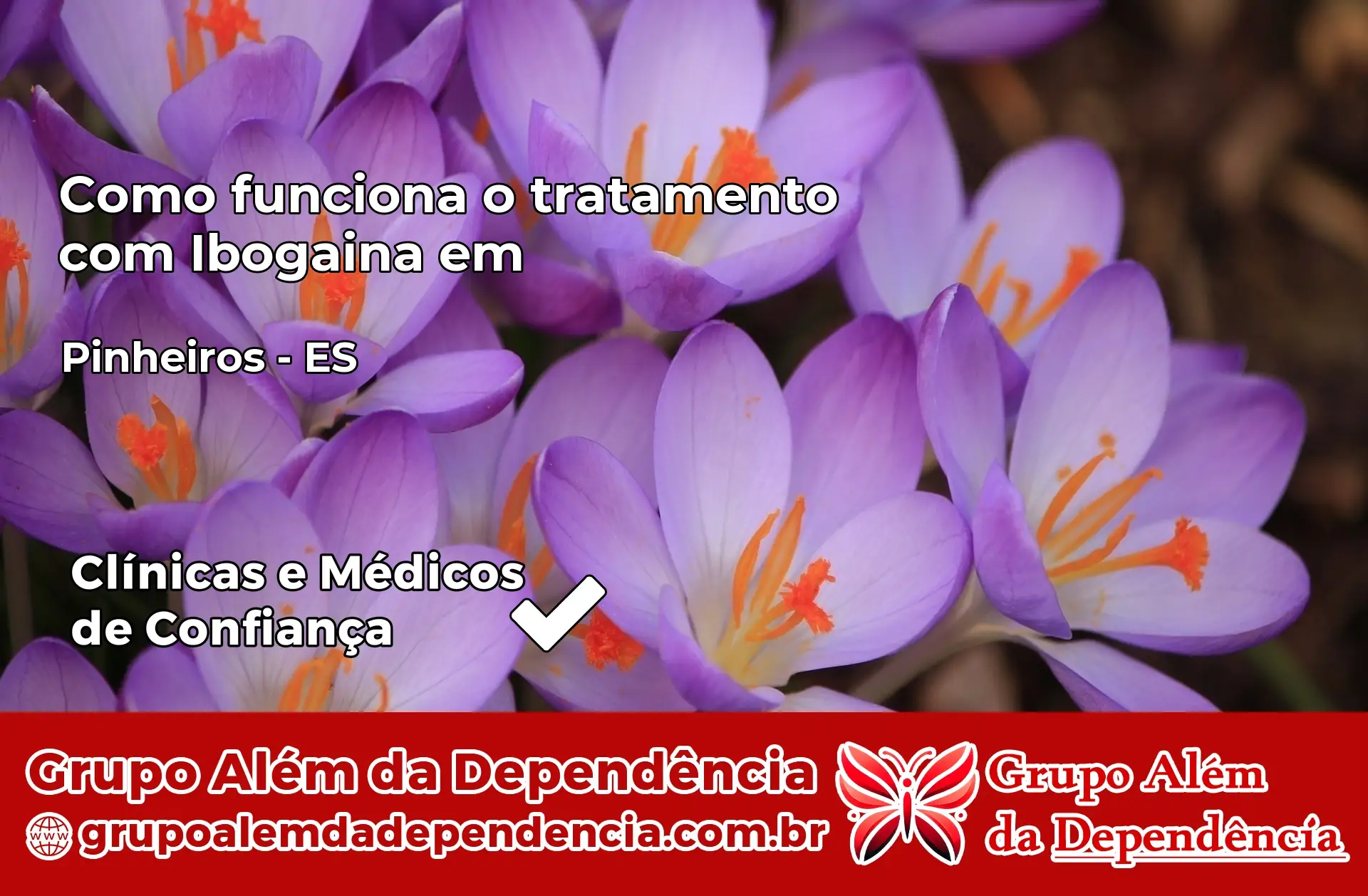 Como Funciona Ibogaína em Pinheiros – ES