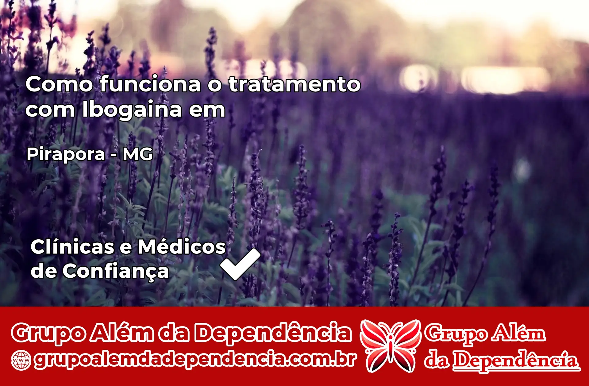 Como Funciona Ibogaína em Pirapora – MG