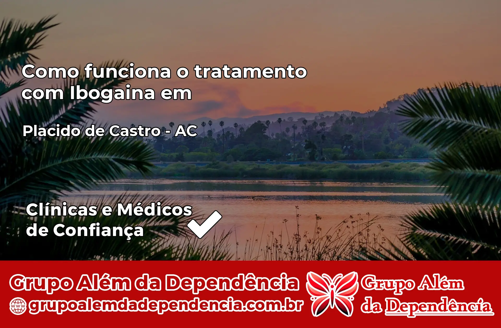 Como Funciona Ibogaína em Plácido de Castro – AC