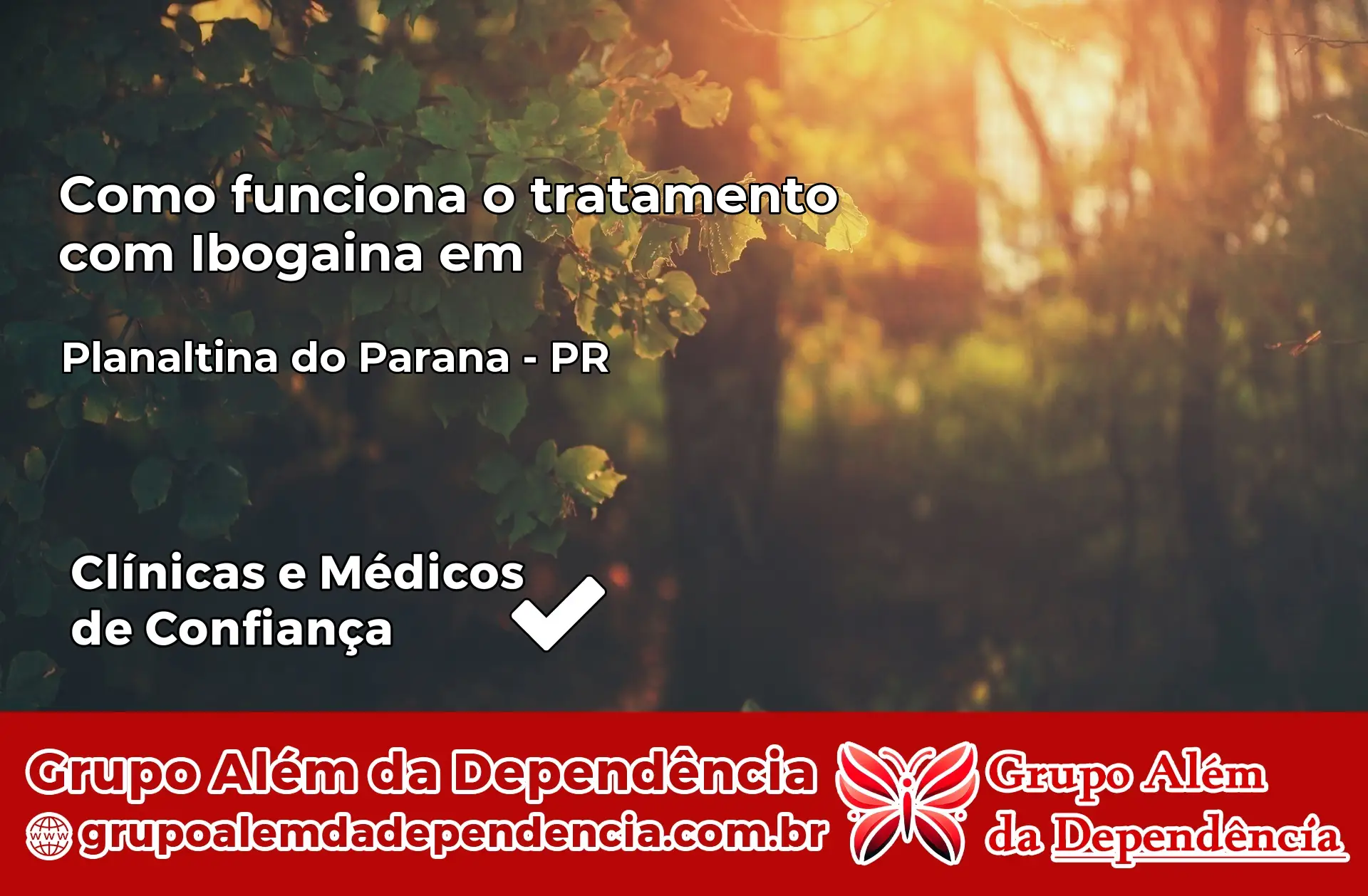 Como Funciona Ibogaína em Planaltina do Paraná – PR