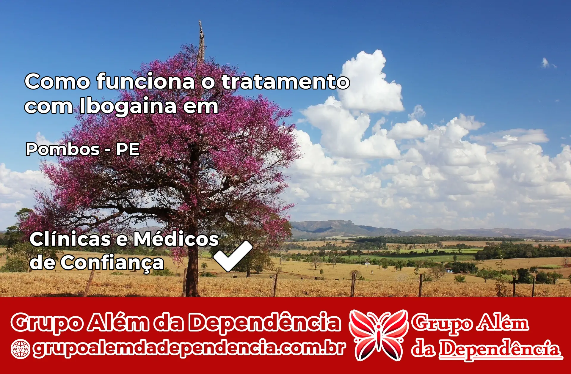 Como Funciona Ibogaína em Pombos – PE