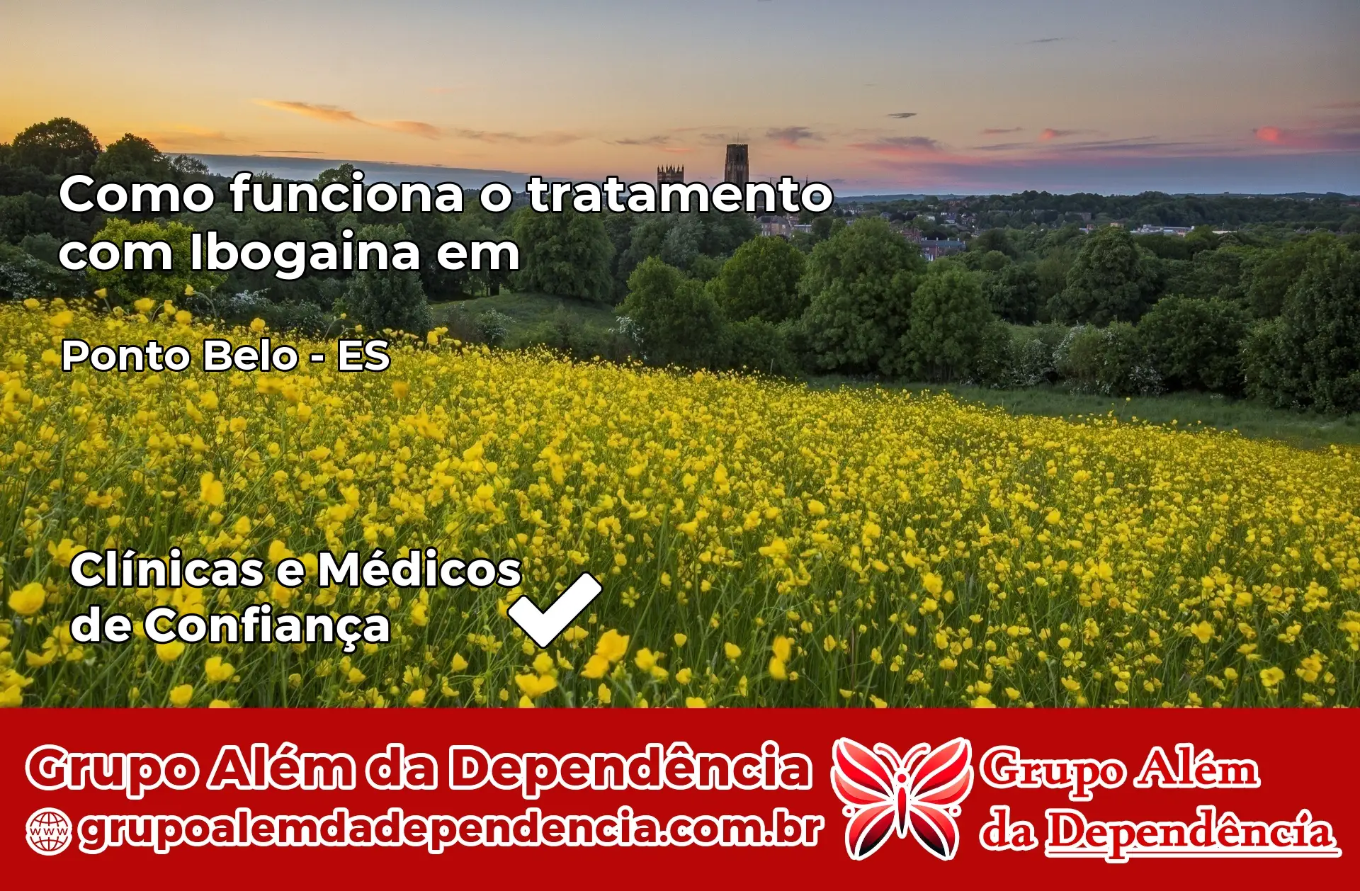 Como Funciona Ibogaína em Ponto Belo – ES